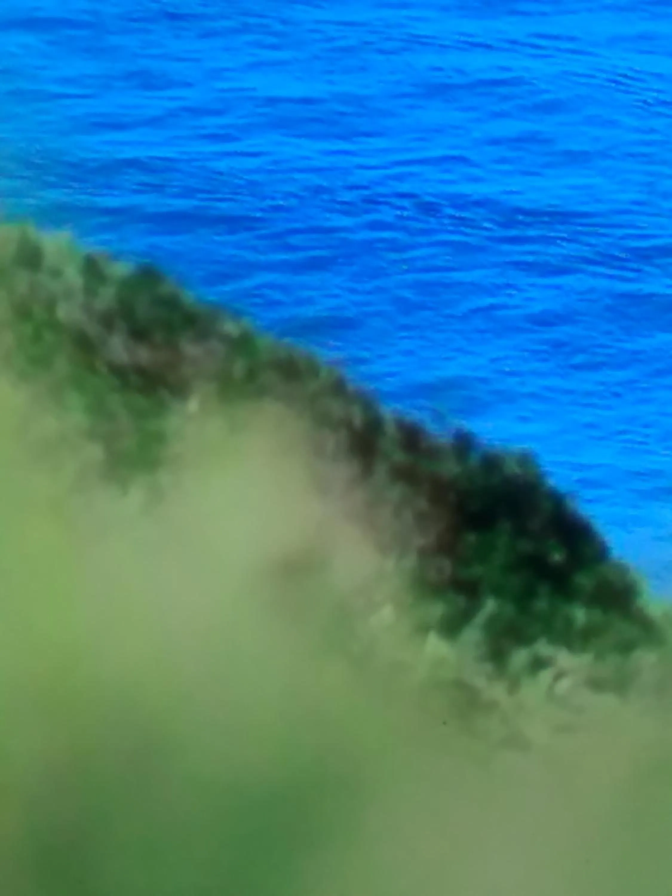 Natural landscape in Hôtel Camou