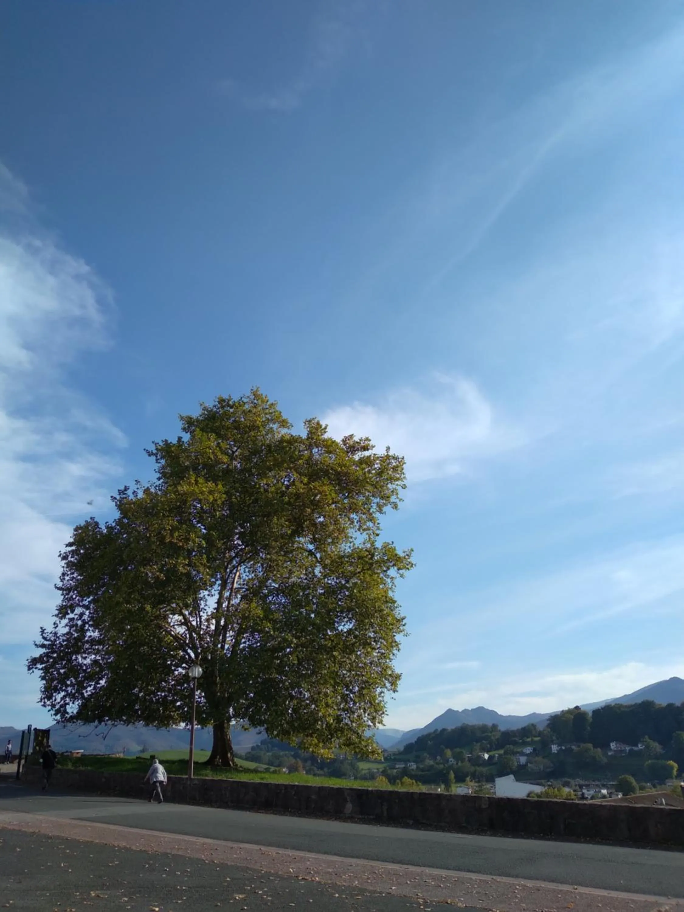 Natural landscape in Hôtel Camou