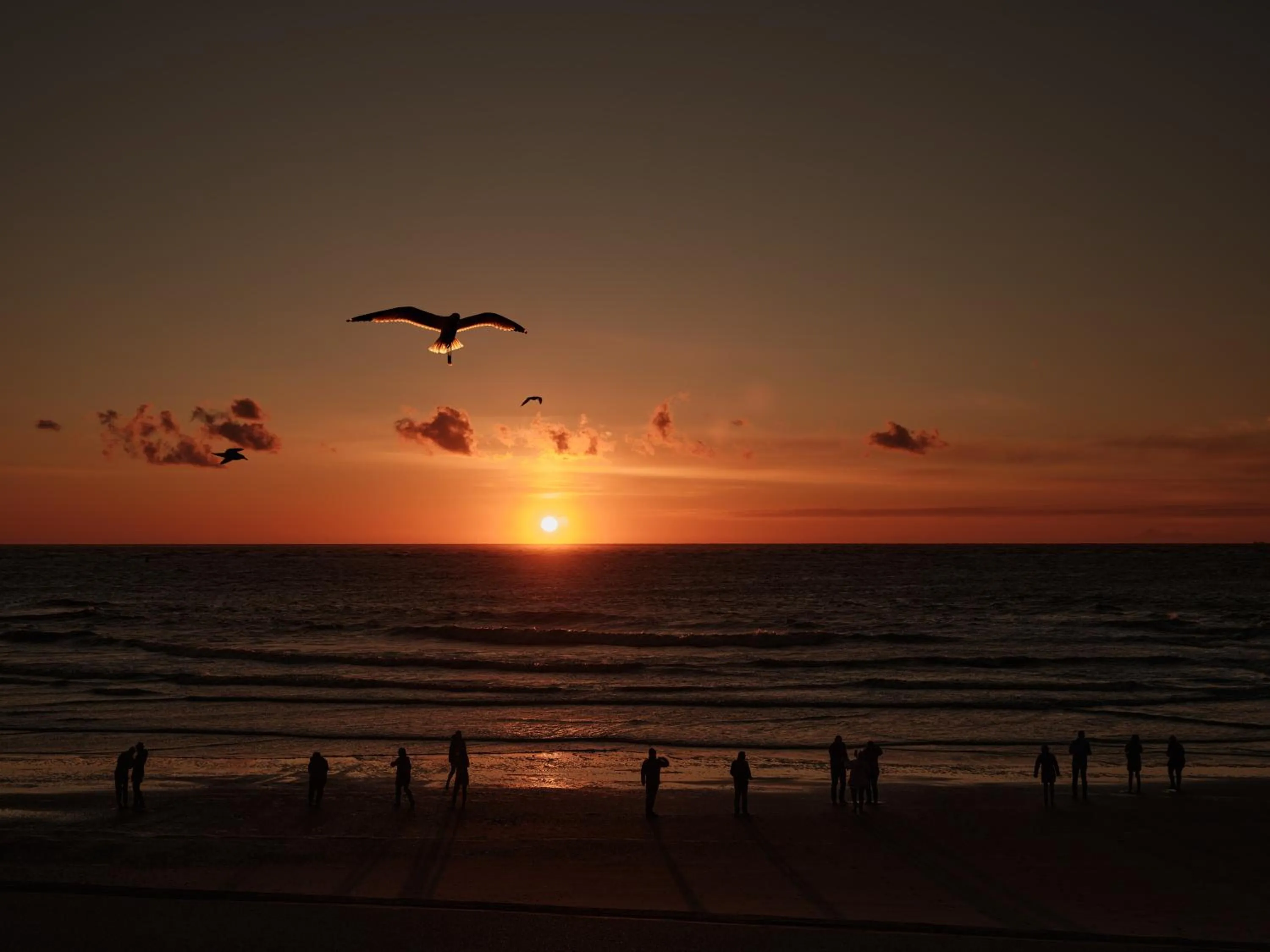 Natural landscape in New Wave