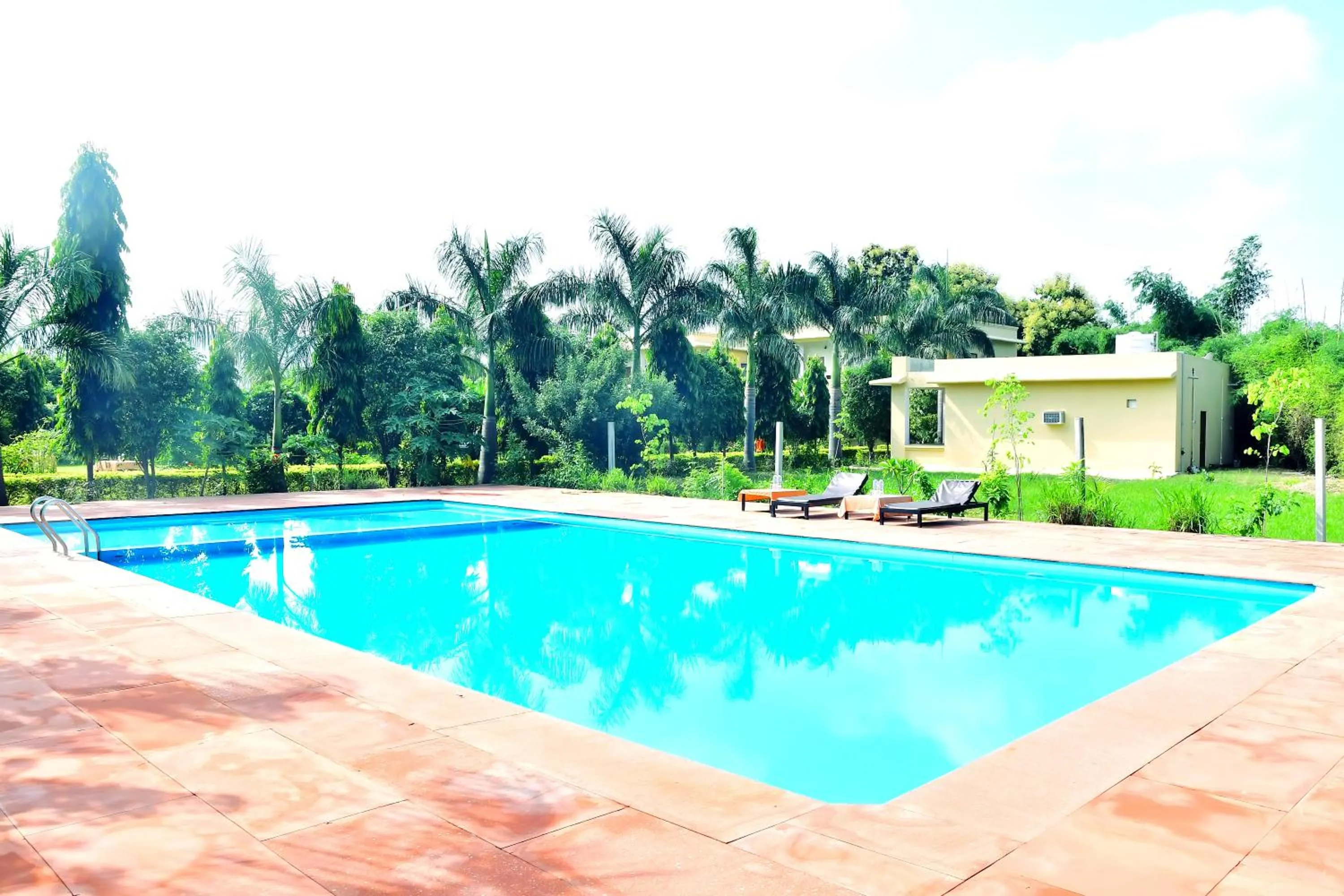 Garden view in Motibagh Resort