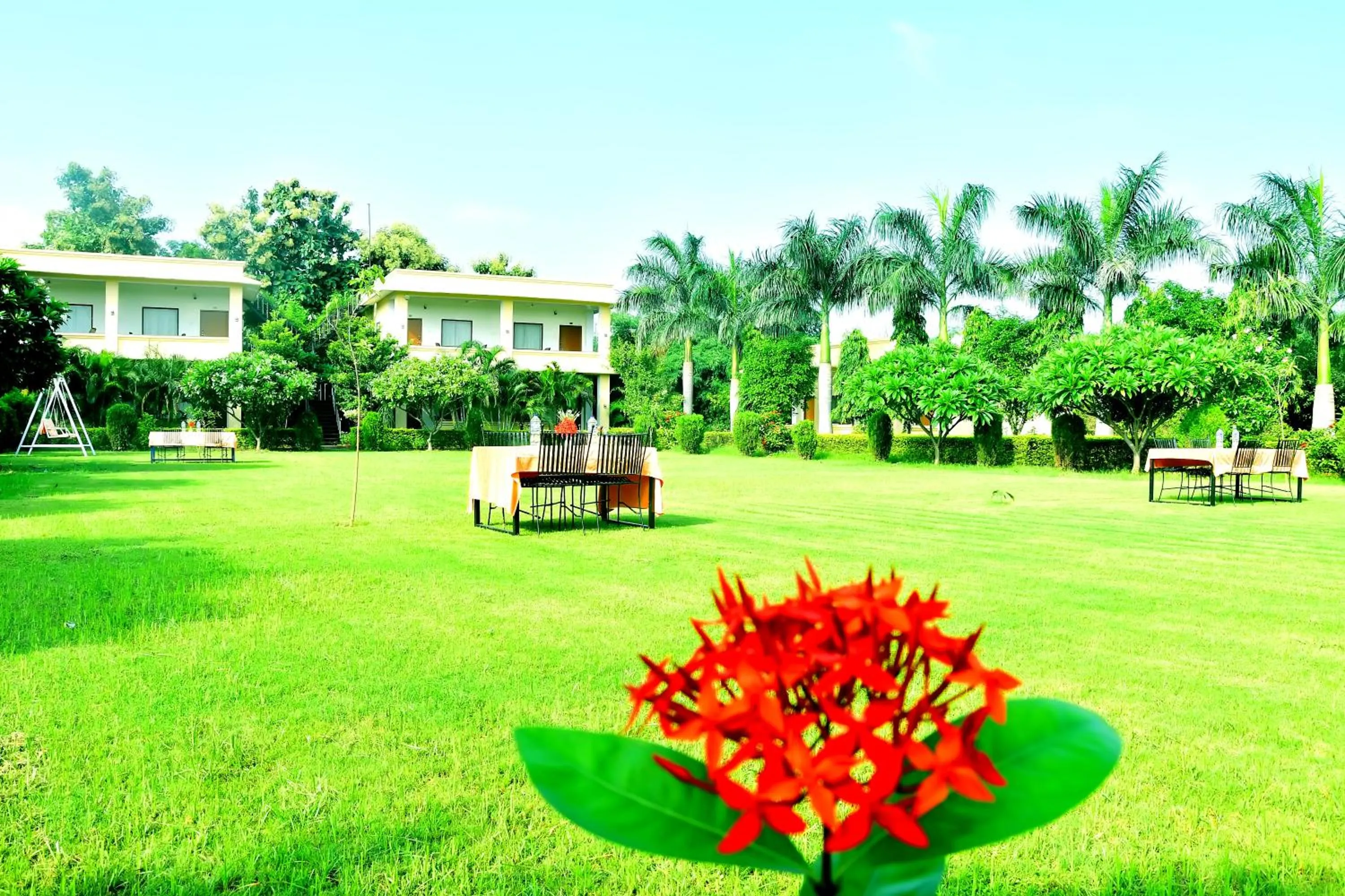 Property building in Motibagh Resort