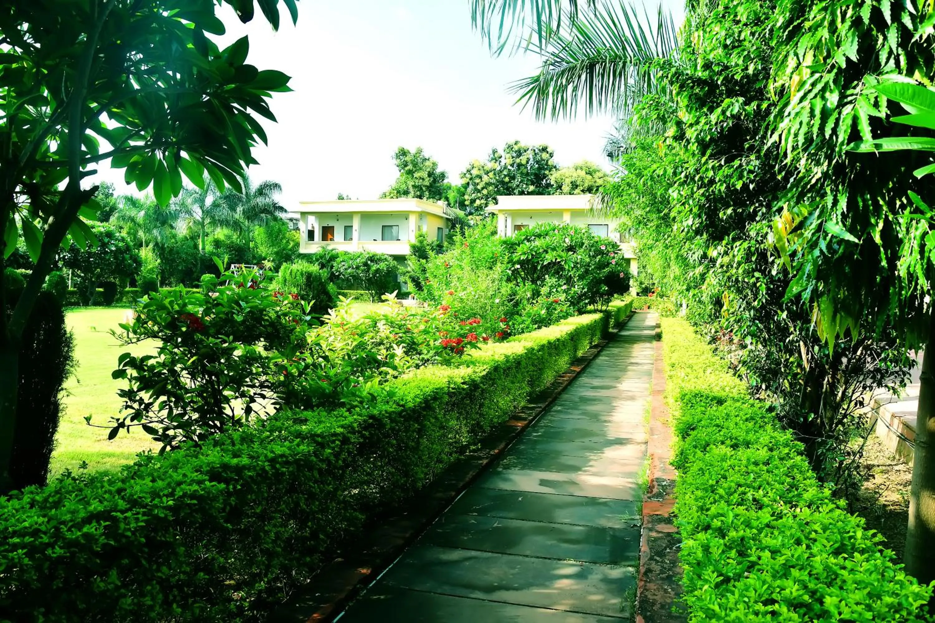 Natural landscape in Motibagh Resort