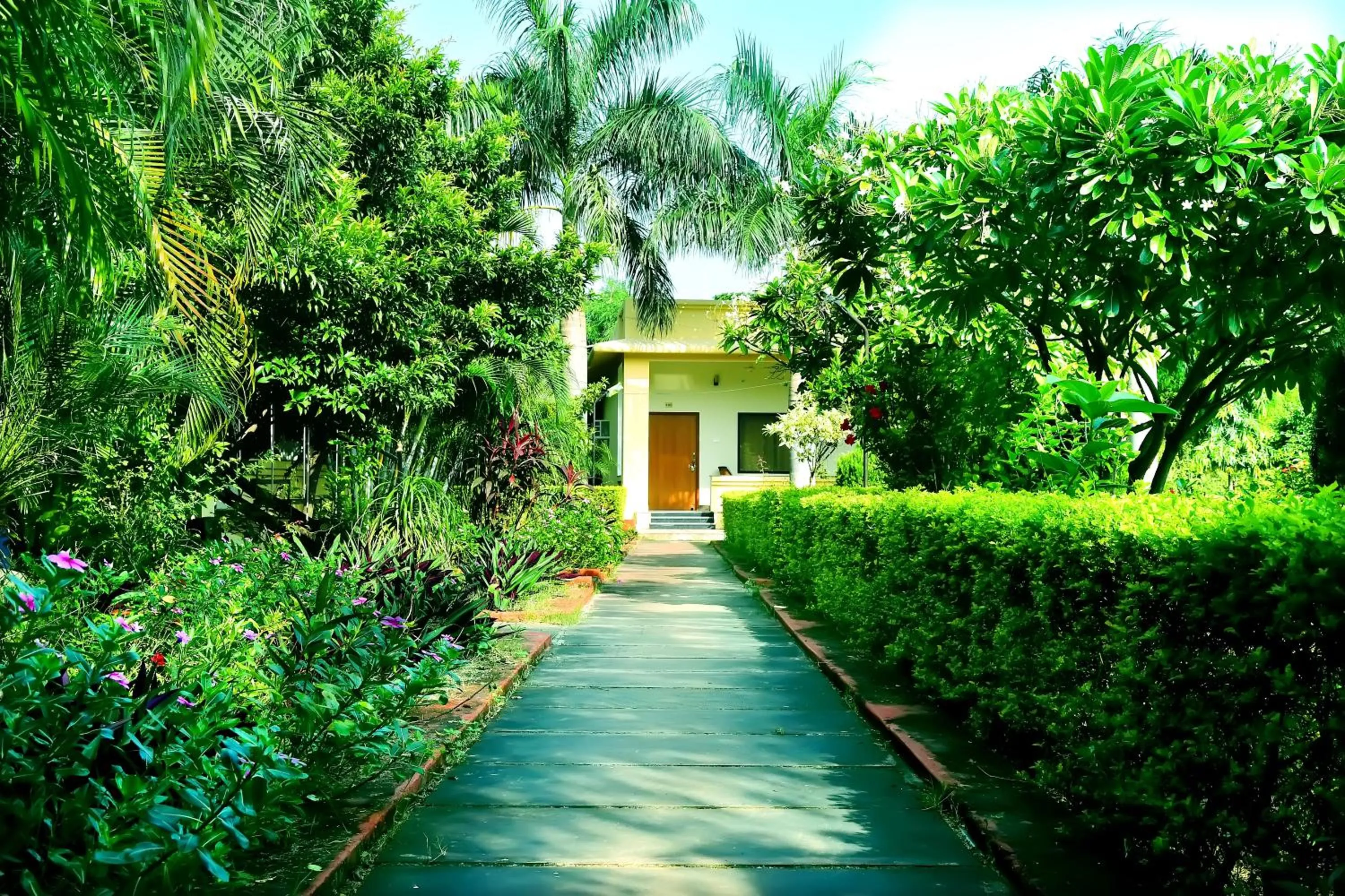 Property building in Motibagh Resort