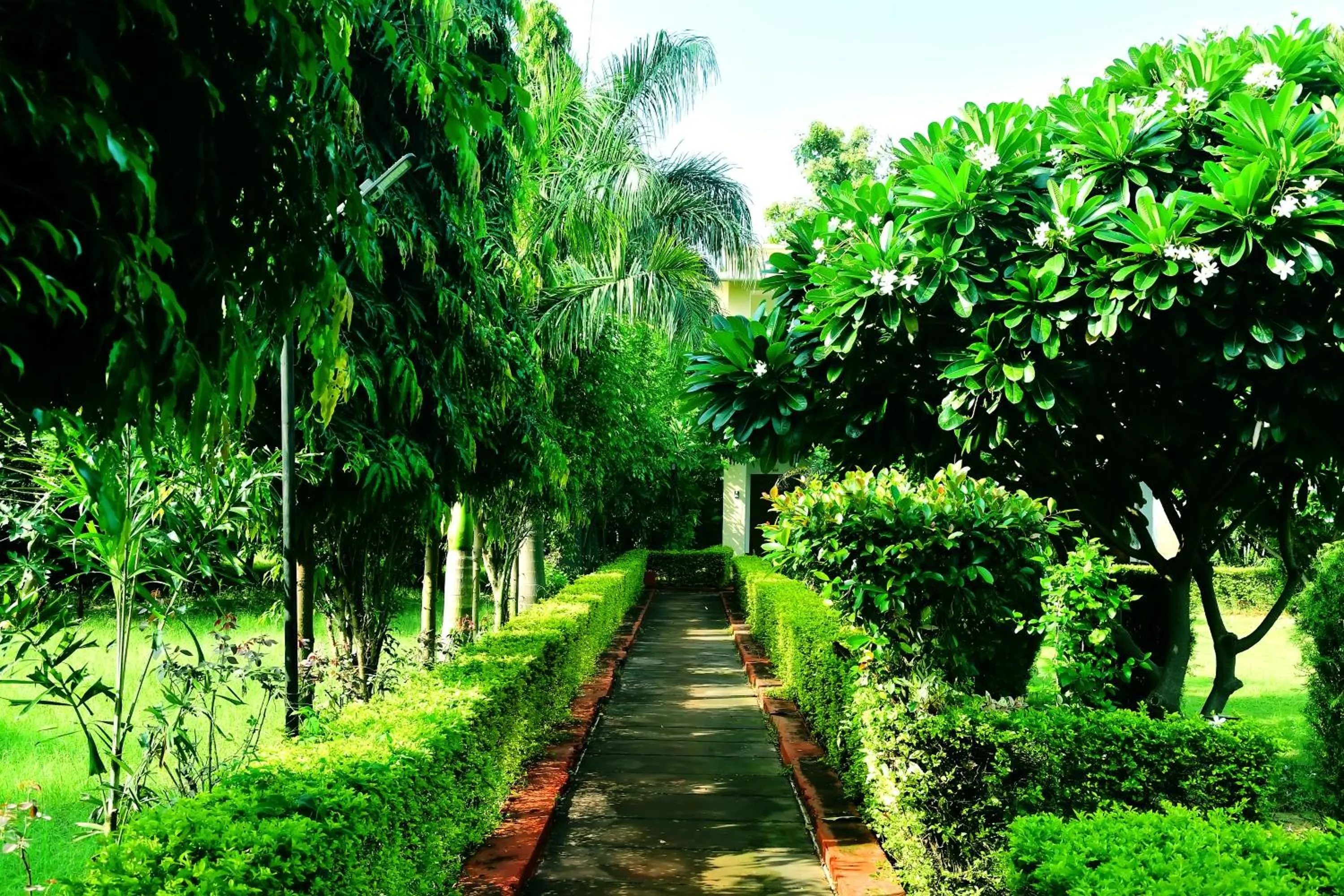 Spring in Motibagh Resort