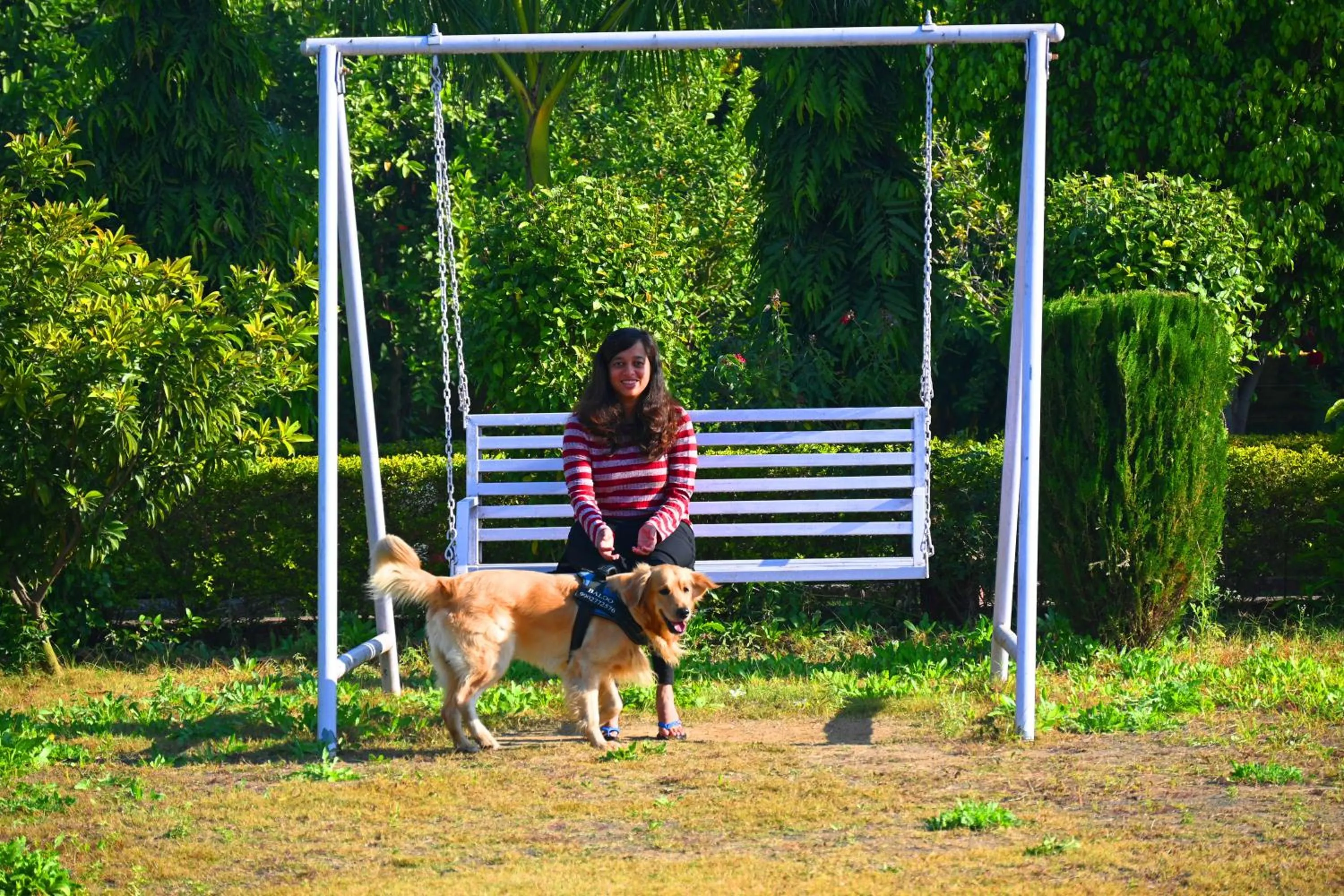 Property building in Motibagh Resort