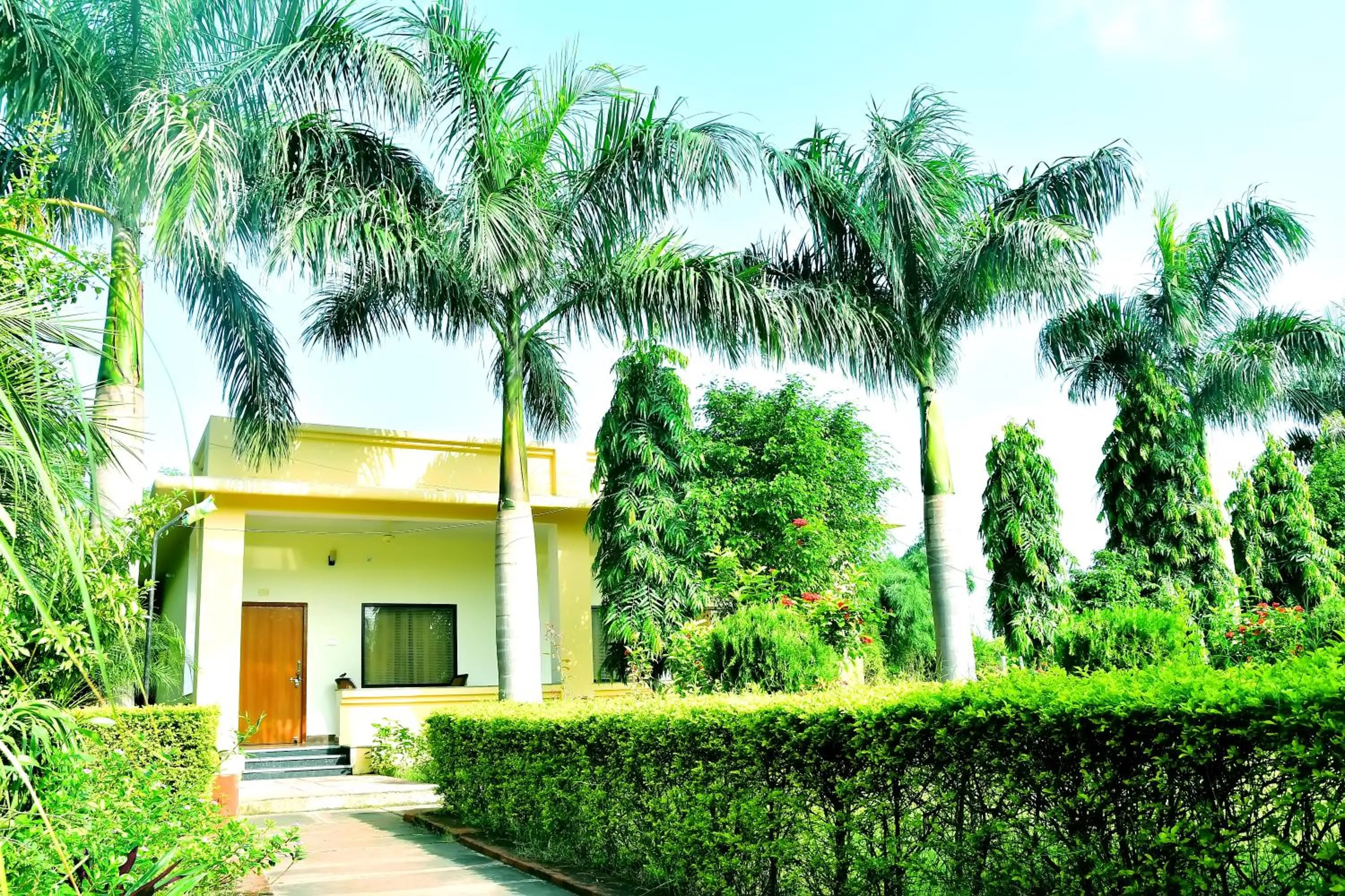 Natural landscape in Motibagh Resort