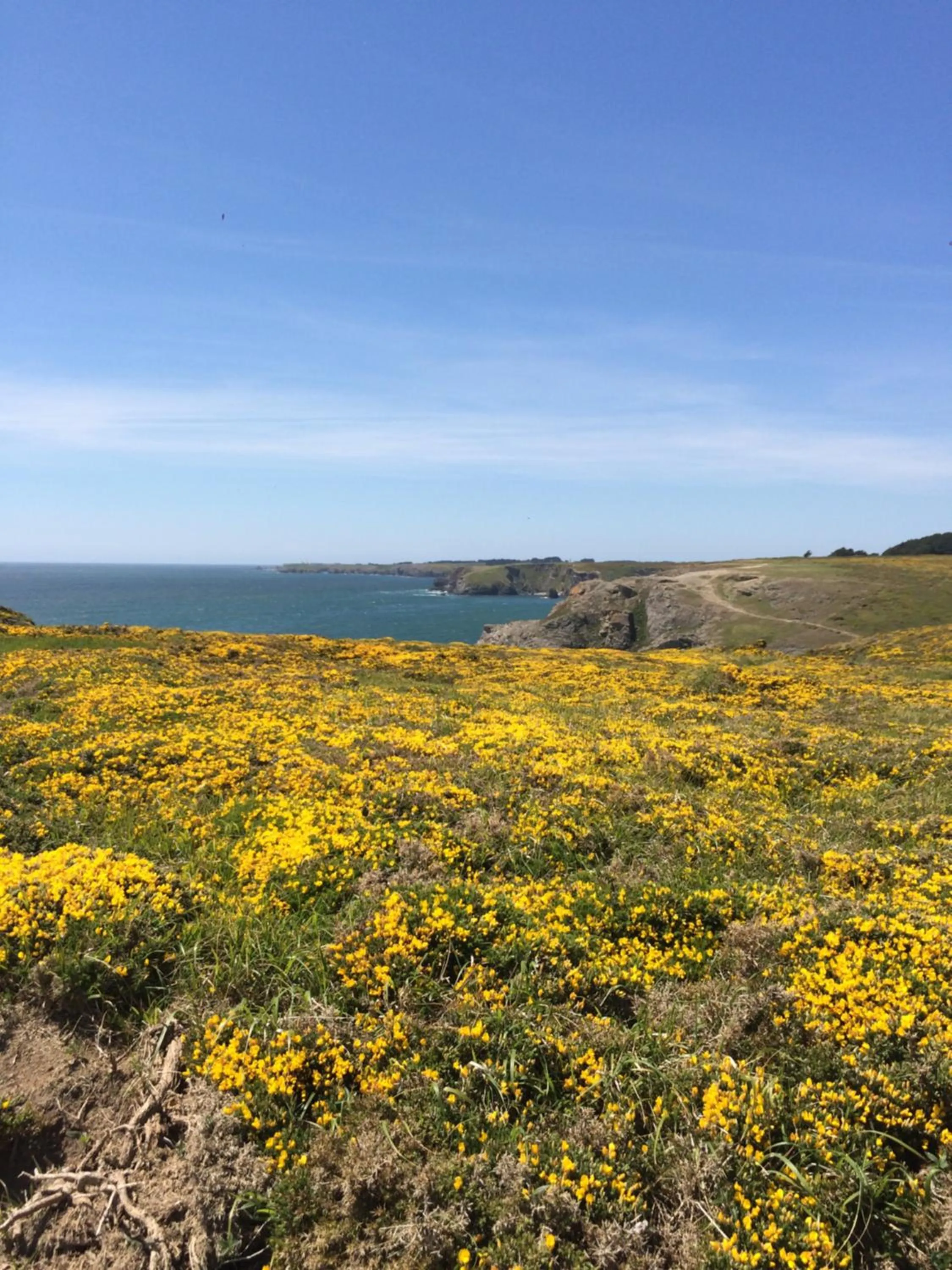 Hôtel Restaurant Corto Maltese
