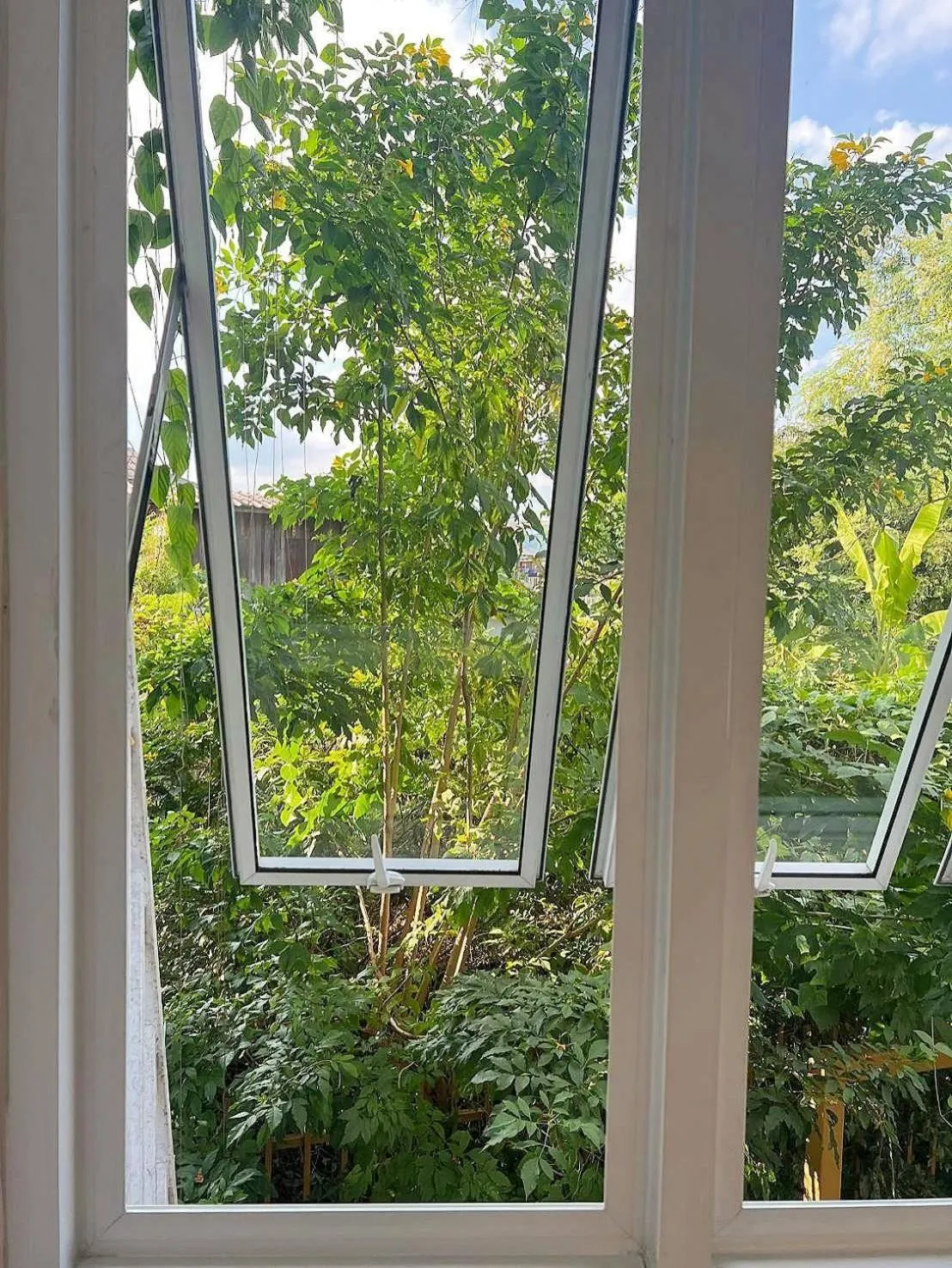 Garden in Nornnuea @ Inthanon