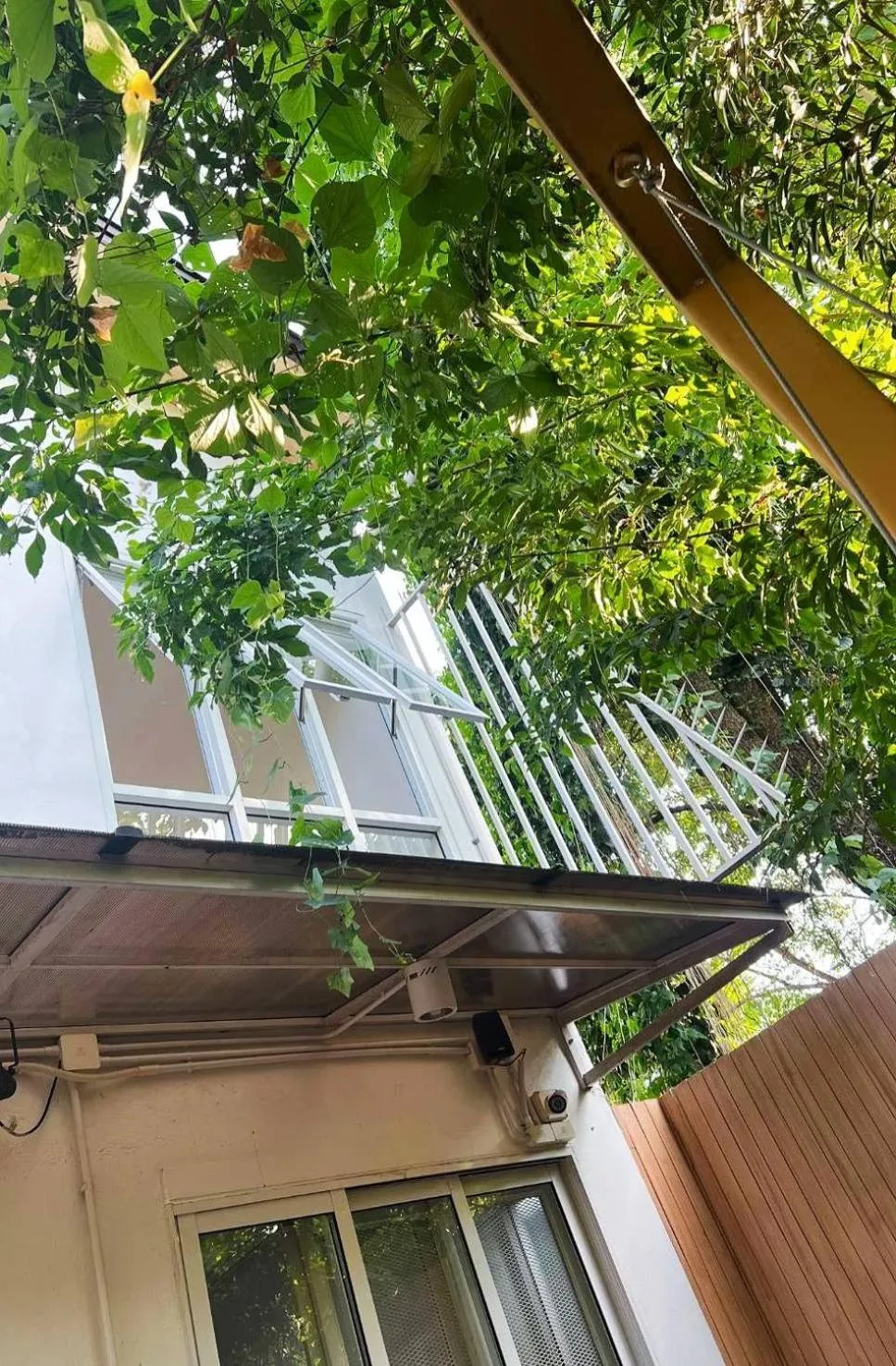 Garden in Nornnuea @ Inthanon