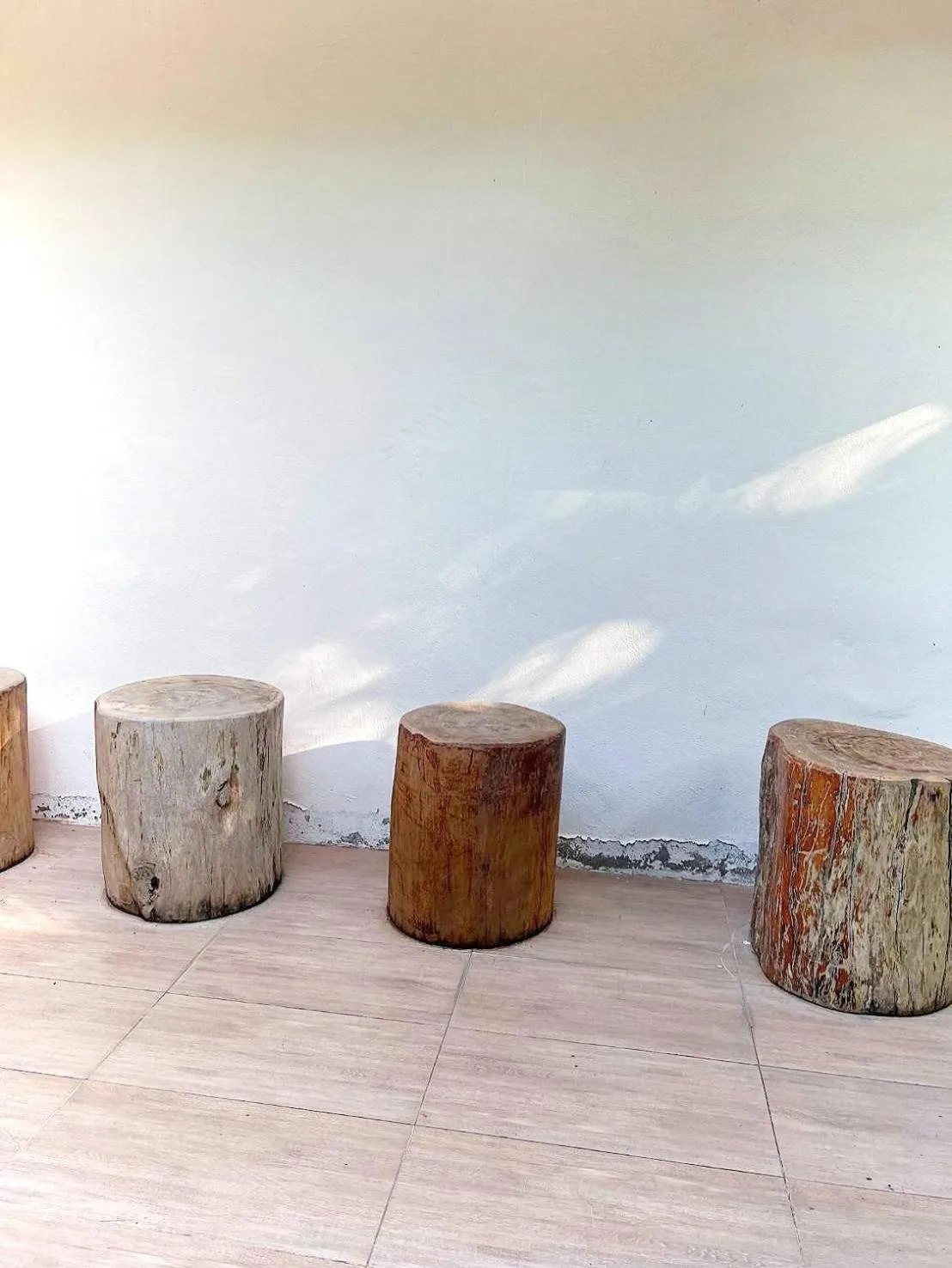 Garden in Nornnuea @ Inthanon