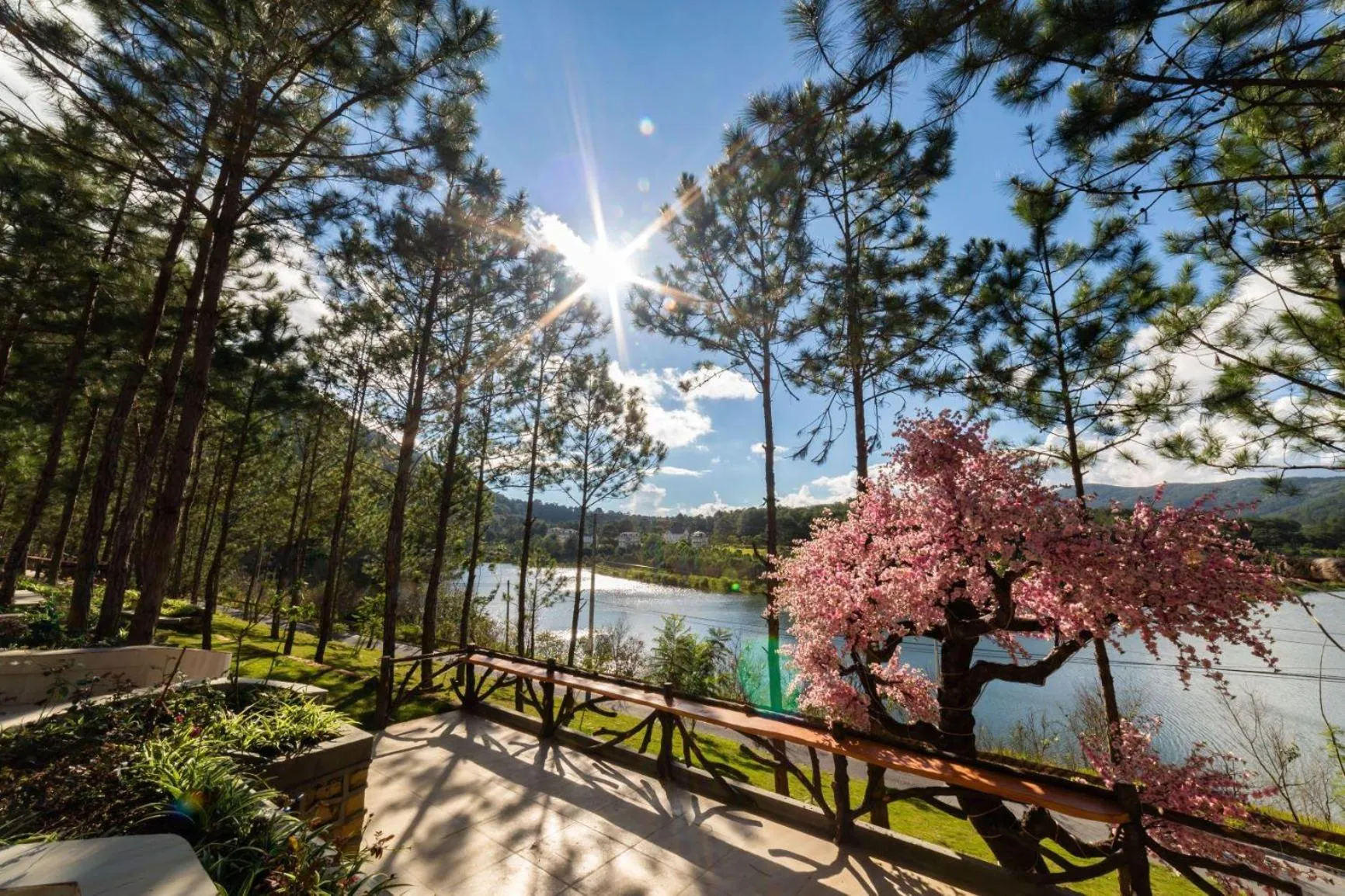 Natural landscape in CEREJA Hotel & Resort Dalat