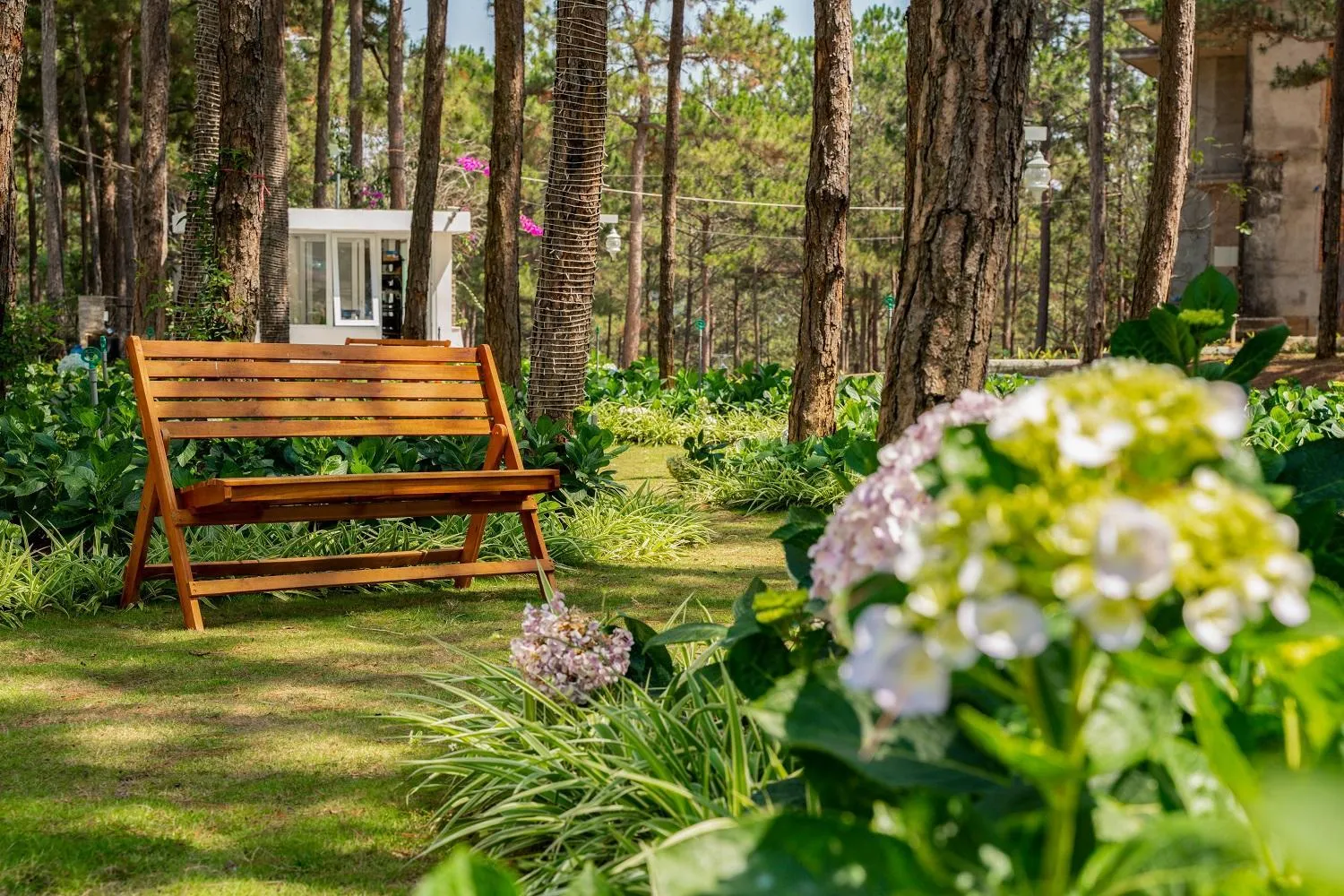 Patio in CEREJA Hotel & Resort Dalat