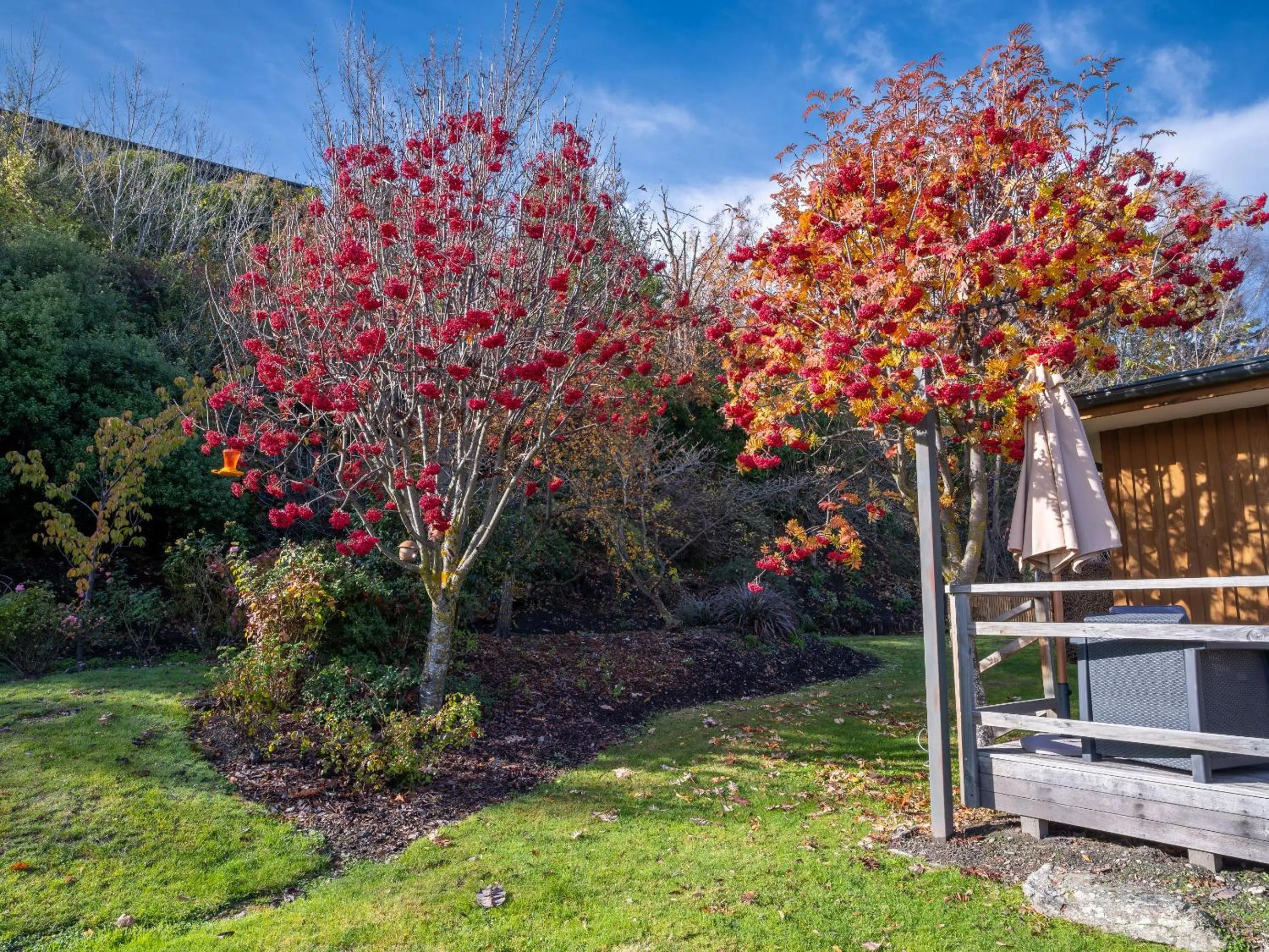 Garden in Wanaka Springs Lodge