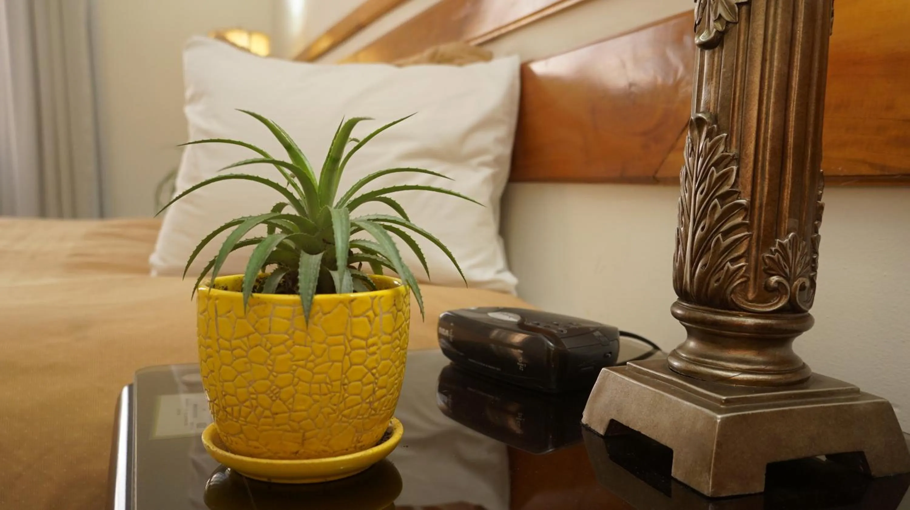 Decorative detail in Hotel Casa del Arbol