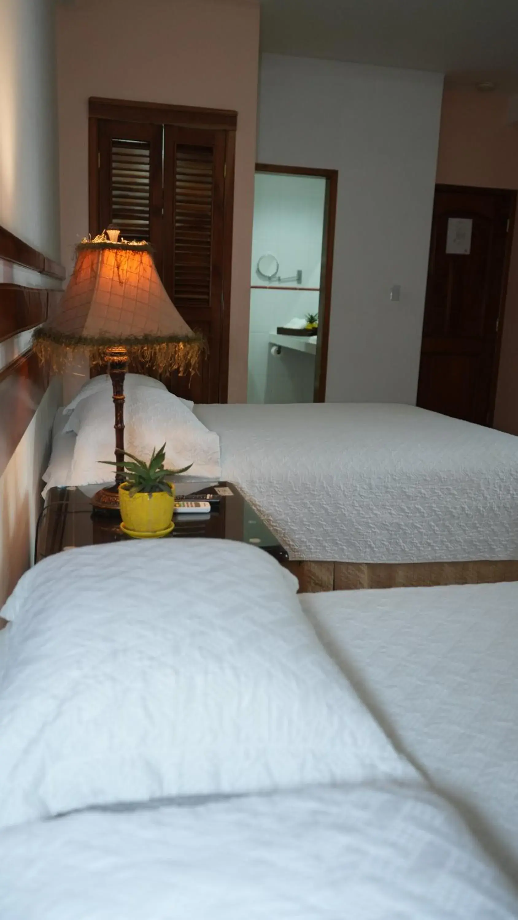 Economy Twin Room in Hotel Casa del Arbol Economy Twin Room in Hotel Casa del Arbol