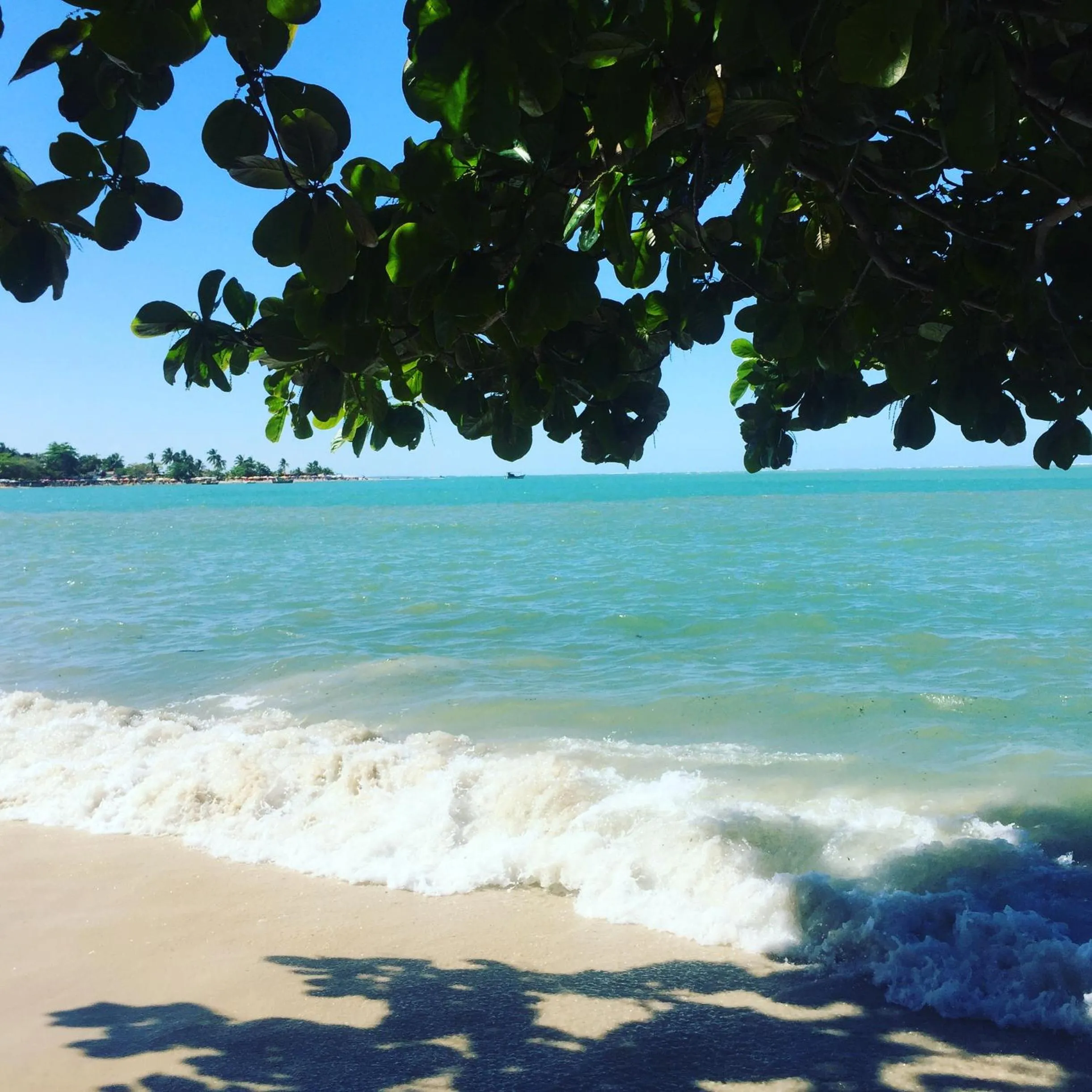 Beach in Flor de Limão Hotel Boutique