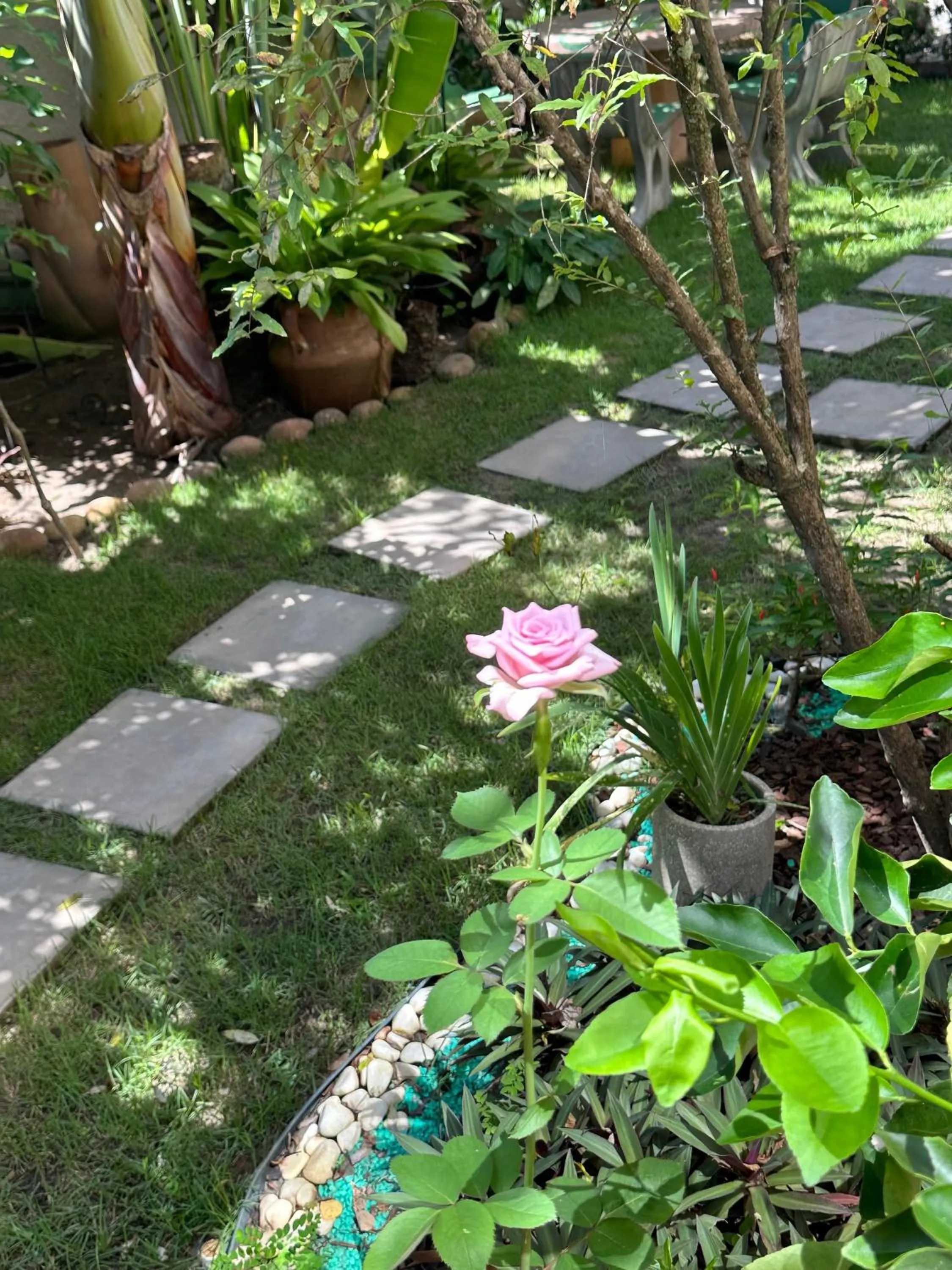 Garden in Flor de Limão Hotel Boutique