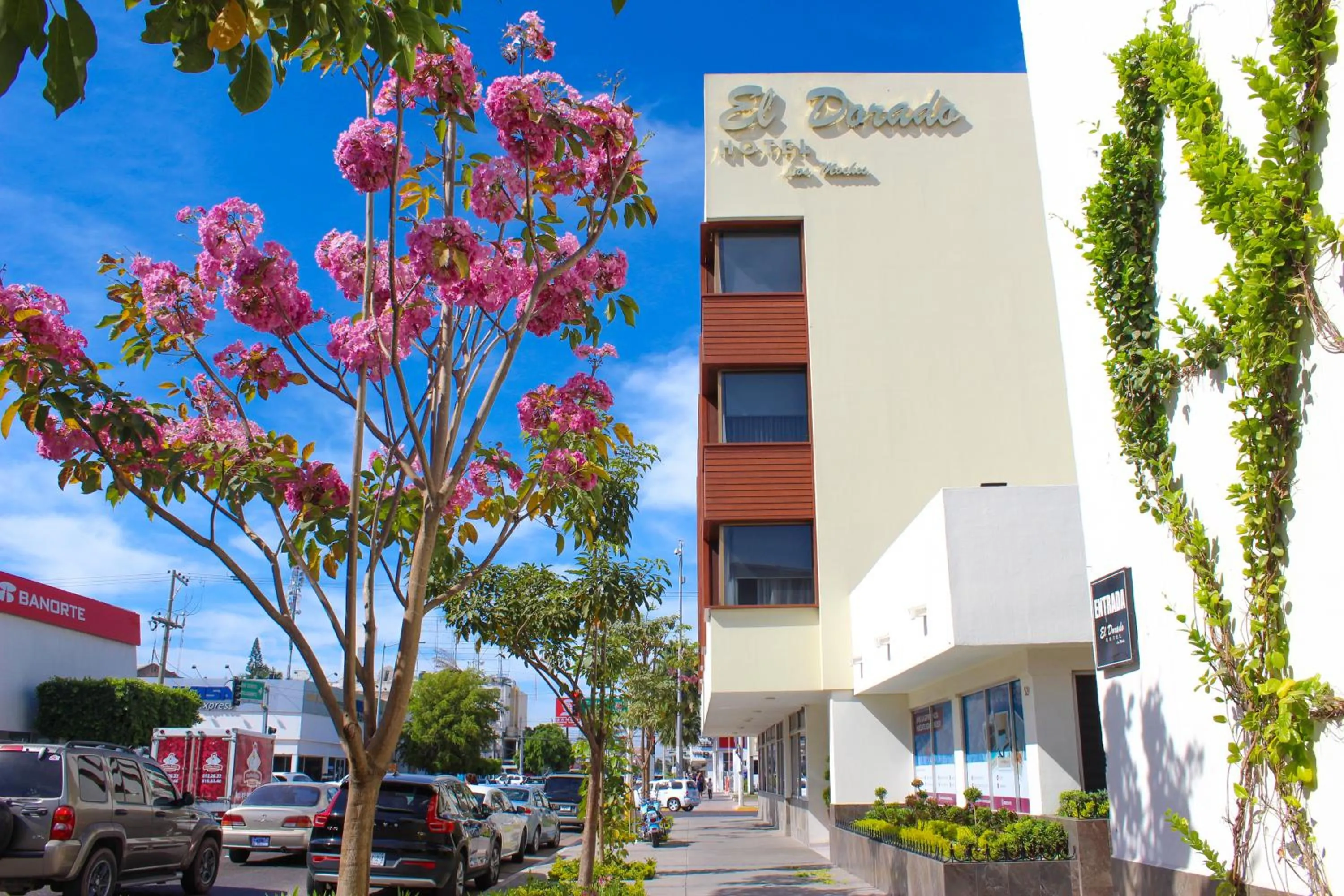 Property building in El Dorado