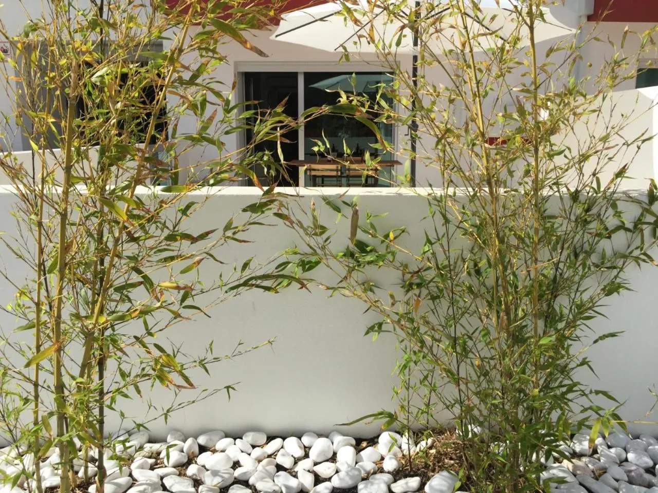Patio in Alto Mar Apartment