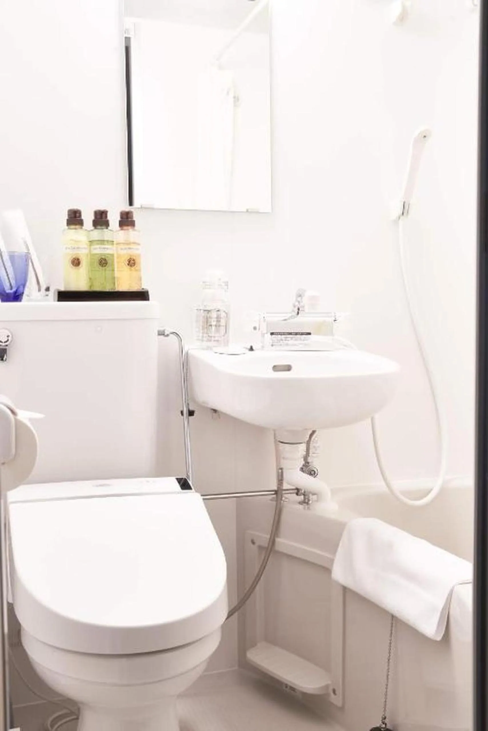 Toilet in Shinsaibashi House