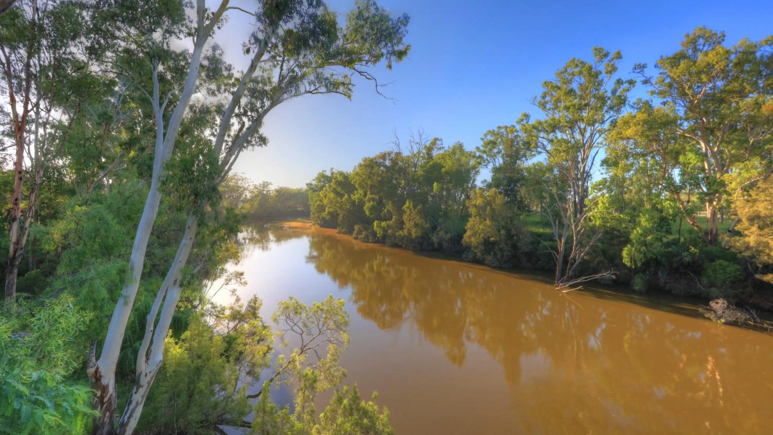 Best Western Ascot Lodge Motor Inn