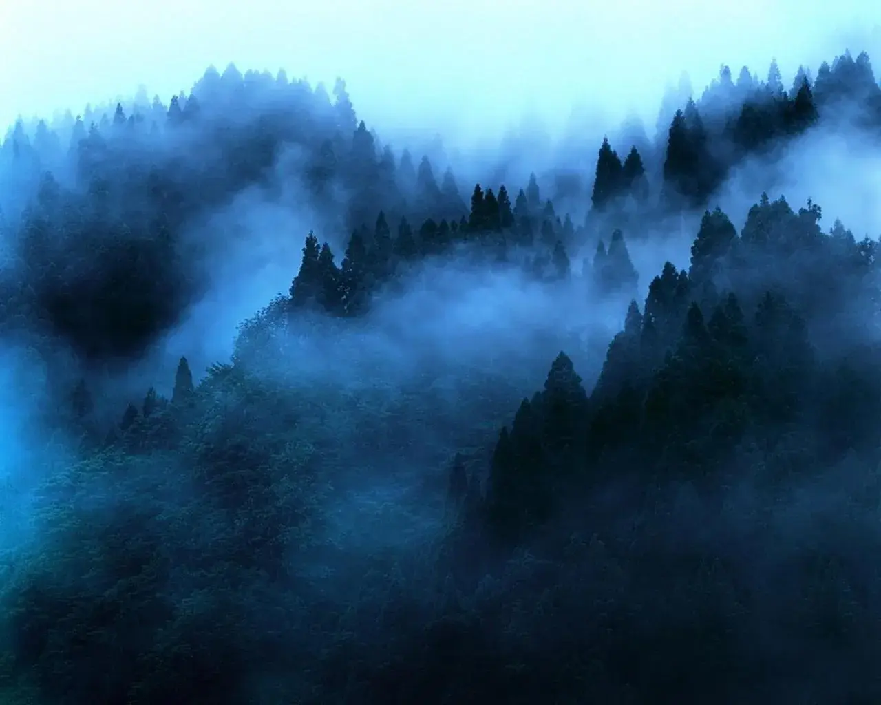"Mount'n mist" "Mount'n mist"