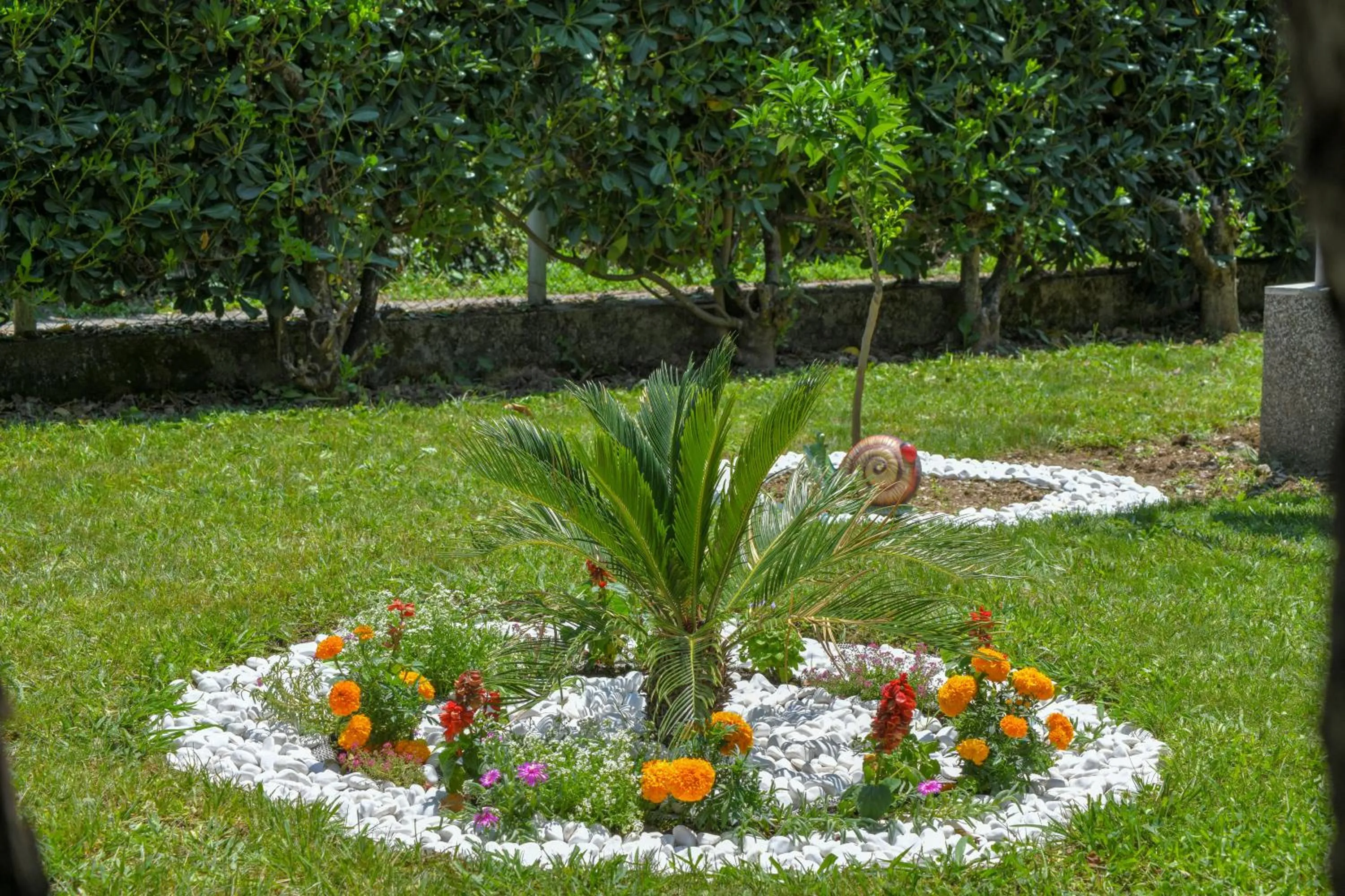 Garden in Apartments Elena