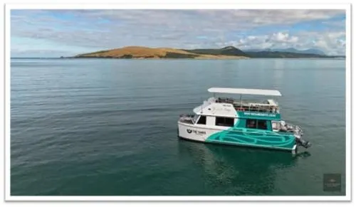 The Sands Hotel Hokianga