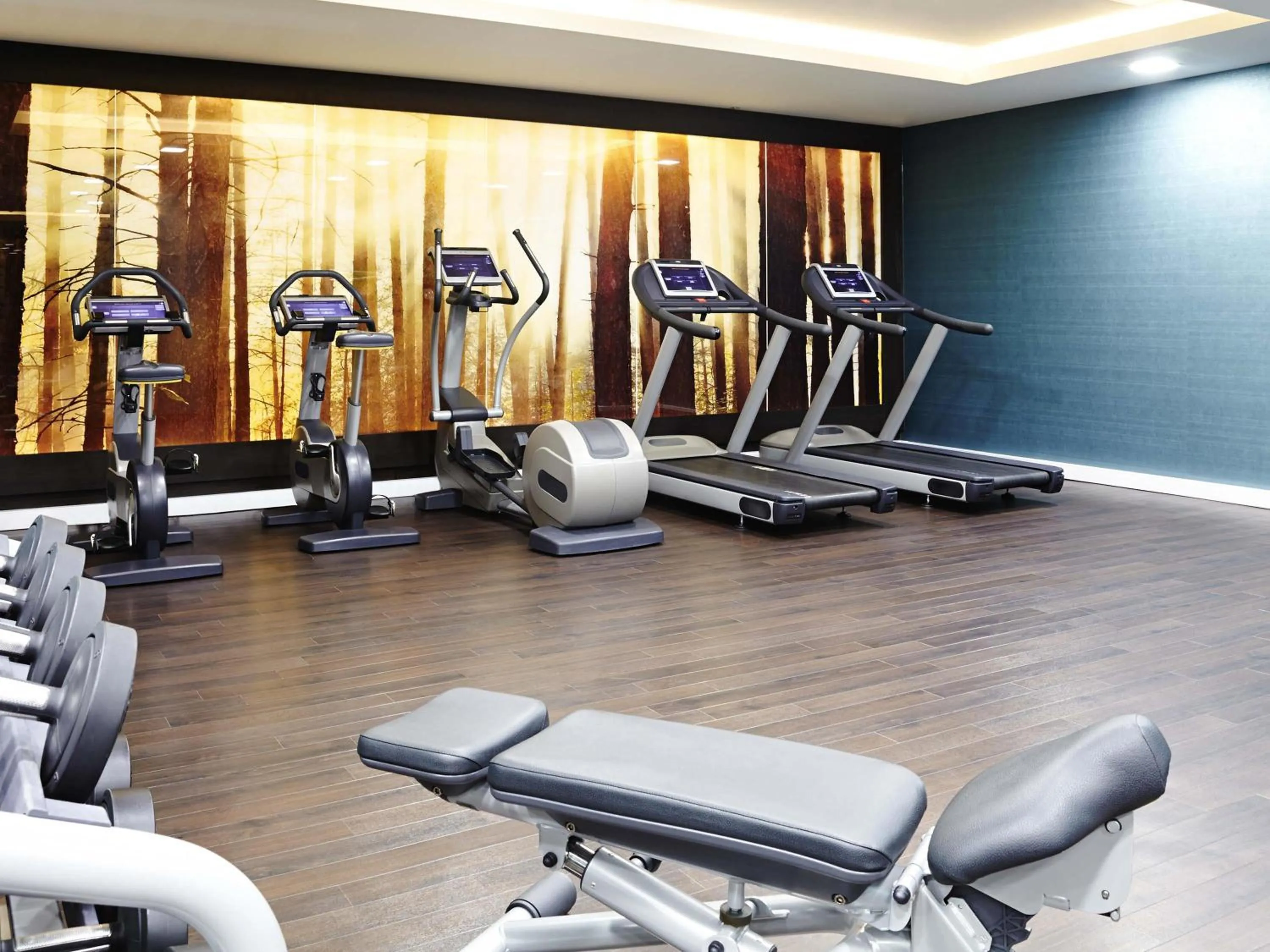 Fitness centre/facilities in Novotel London Blackfriars