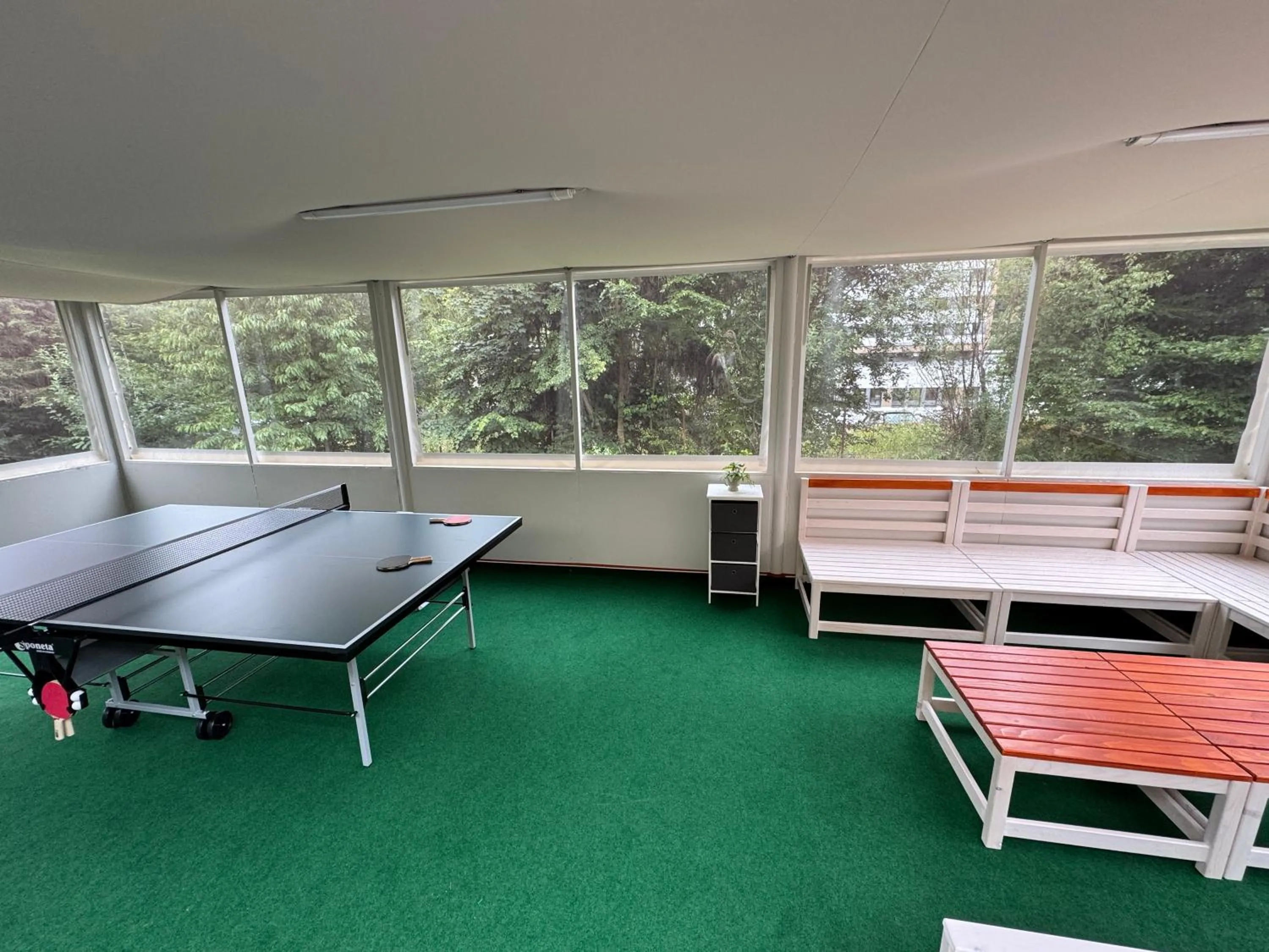 Game Room in Penzion Zornicka