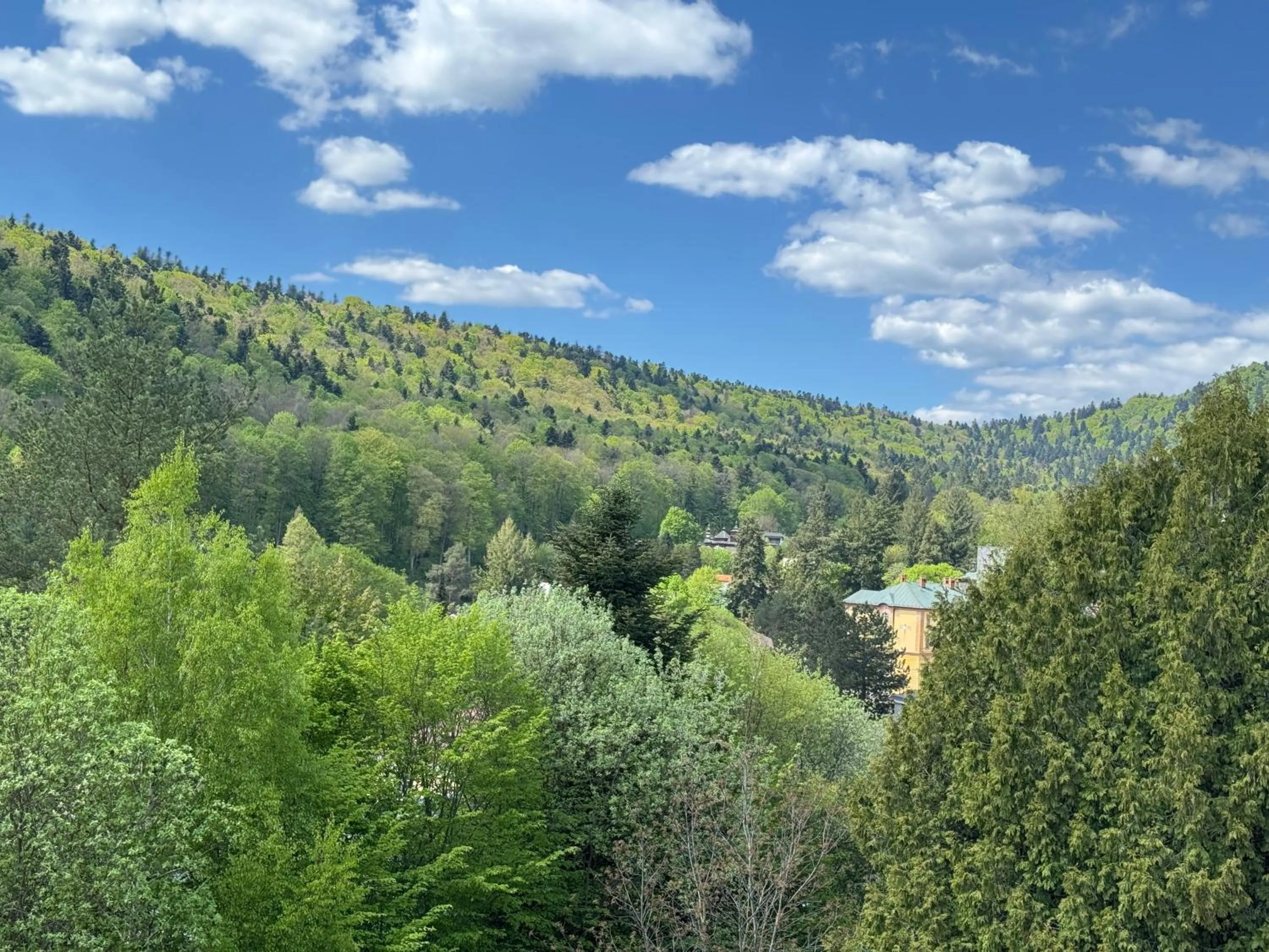 Nearby landmark in Penzion Zornicka