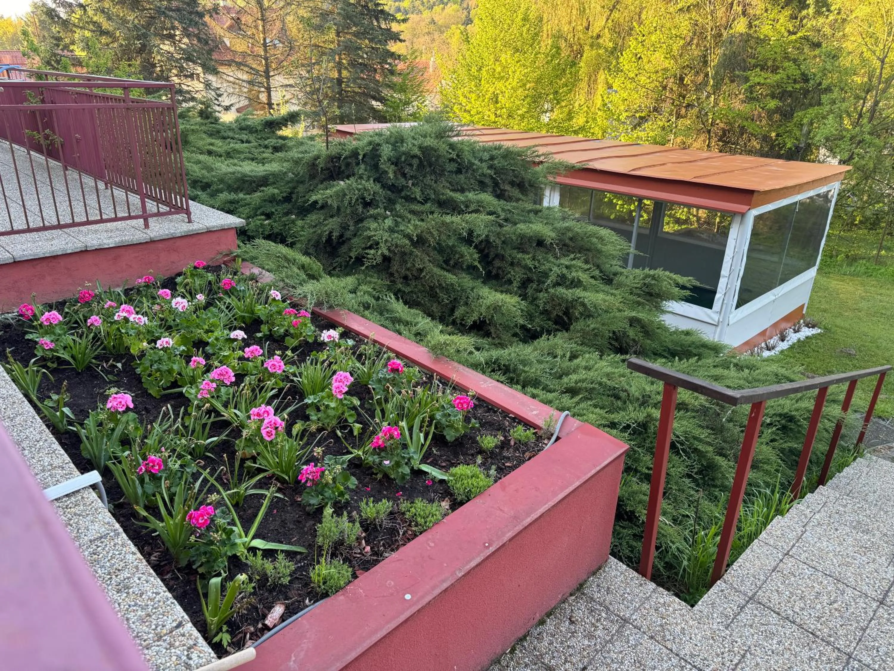 Garden view in Penzion Zornicka