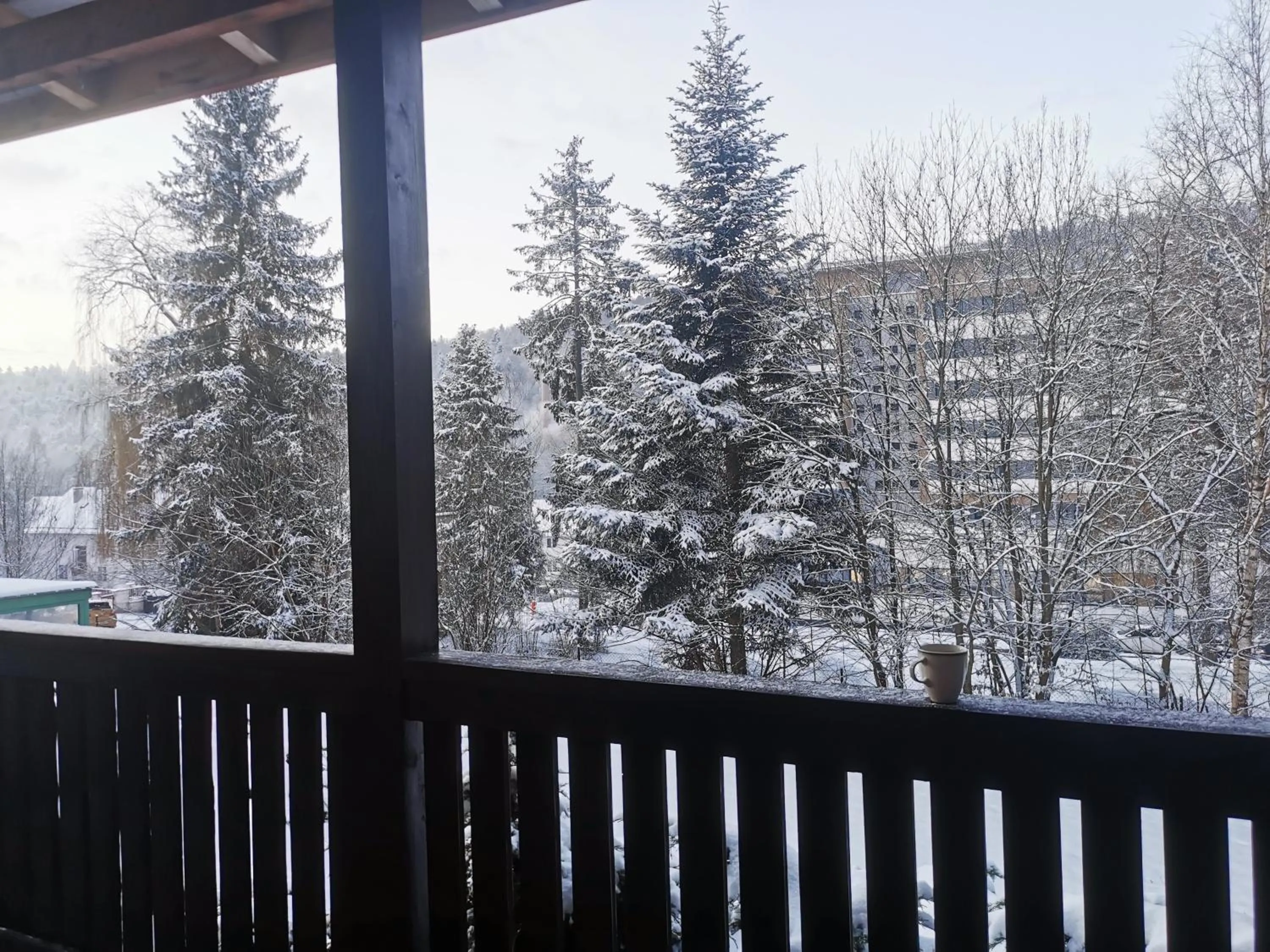 Day in Penzion Zornicka