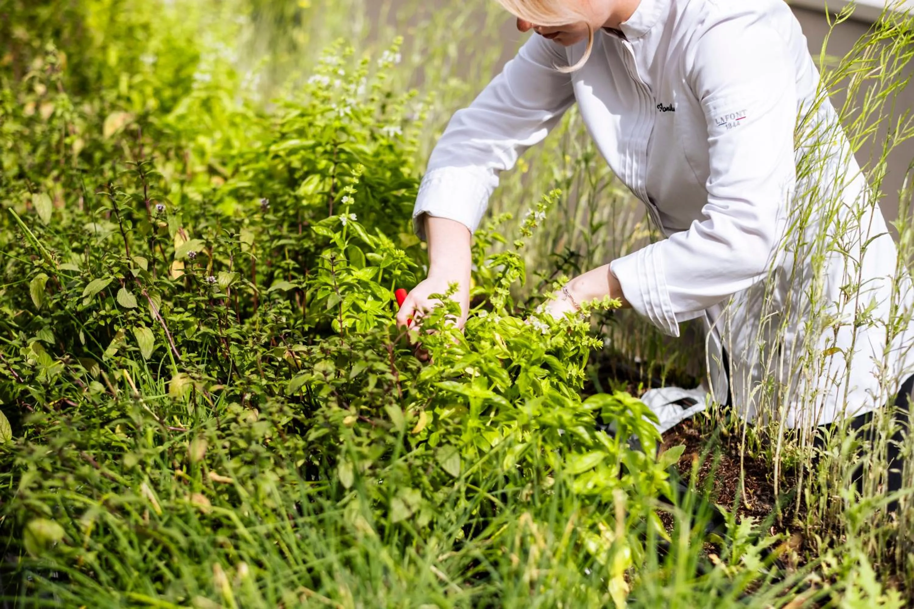 Restaurant/places to eat in Mercure Villefranche-sur-Saône