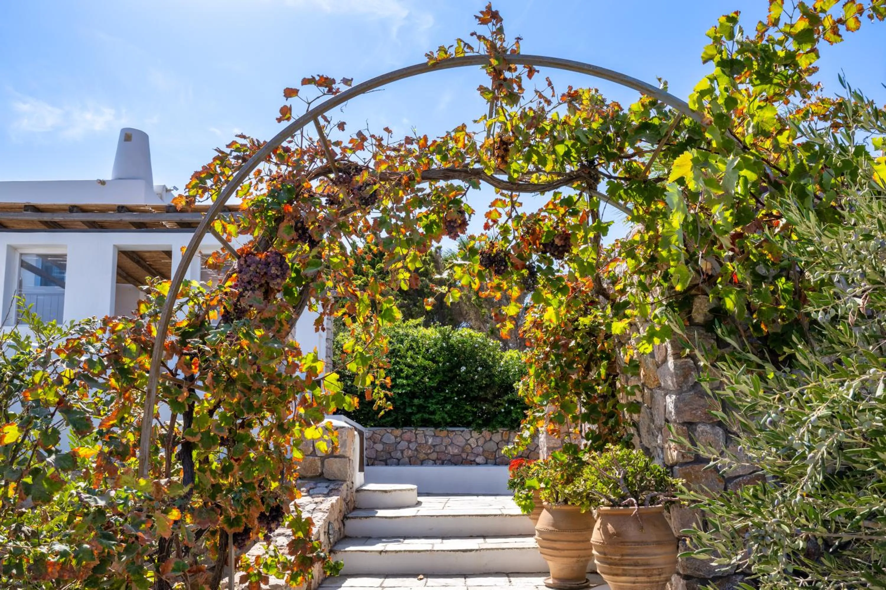 Property building in Anema Boutique Hotel & Villas Santorini