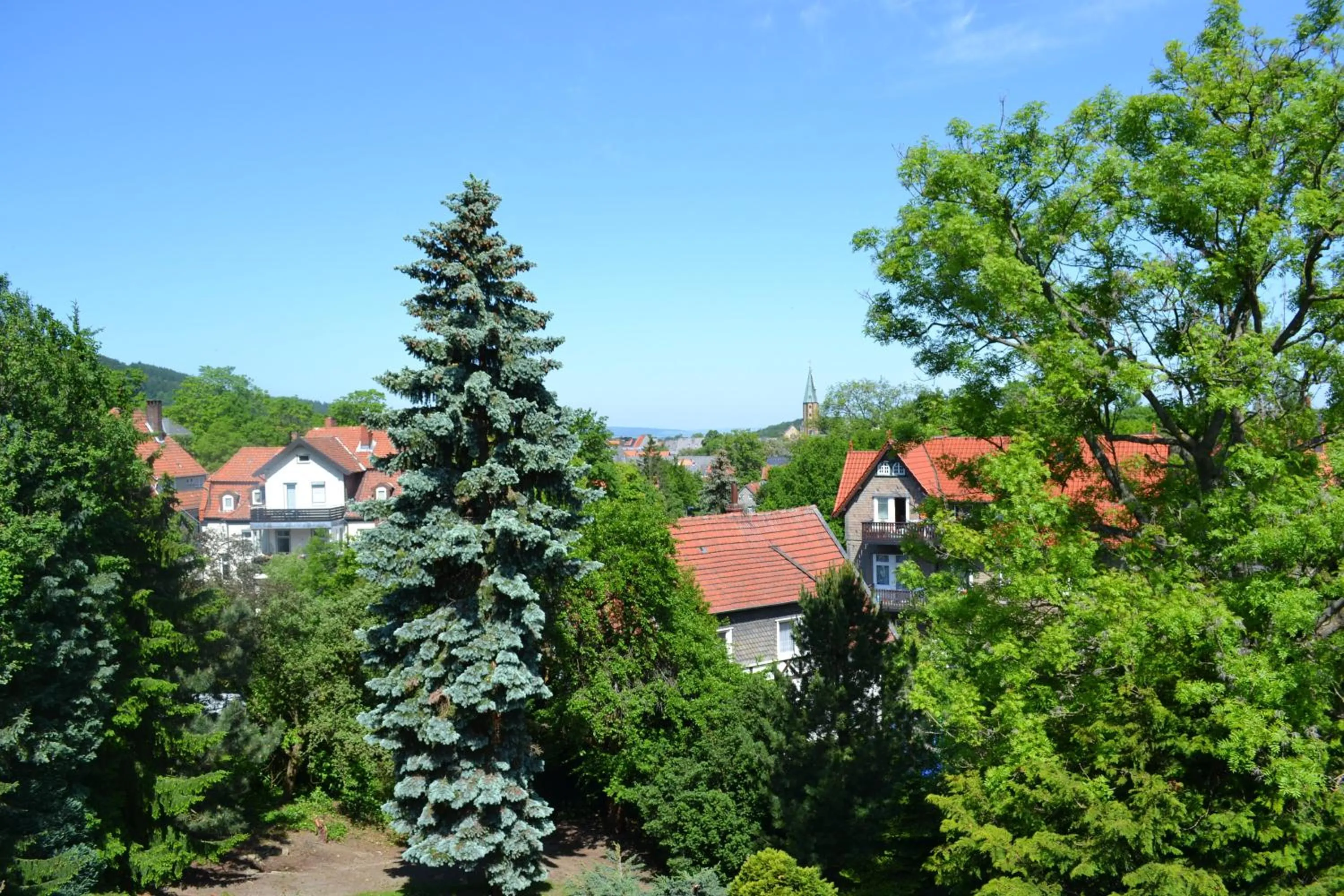 View (from property/room) in Gästehaus Graul