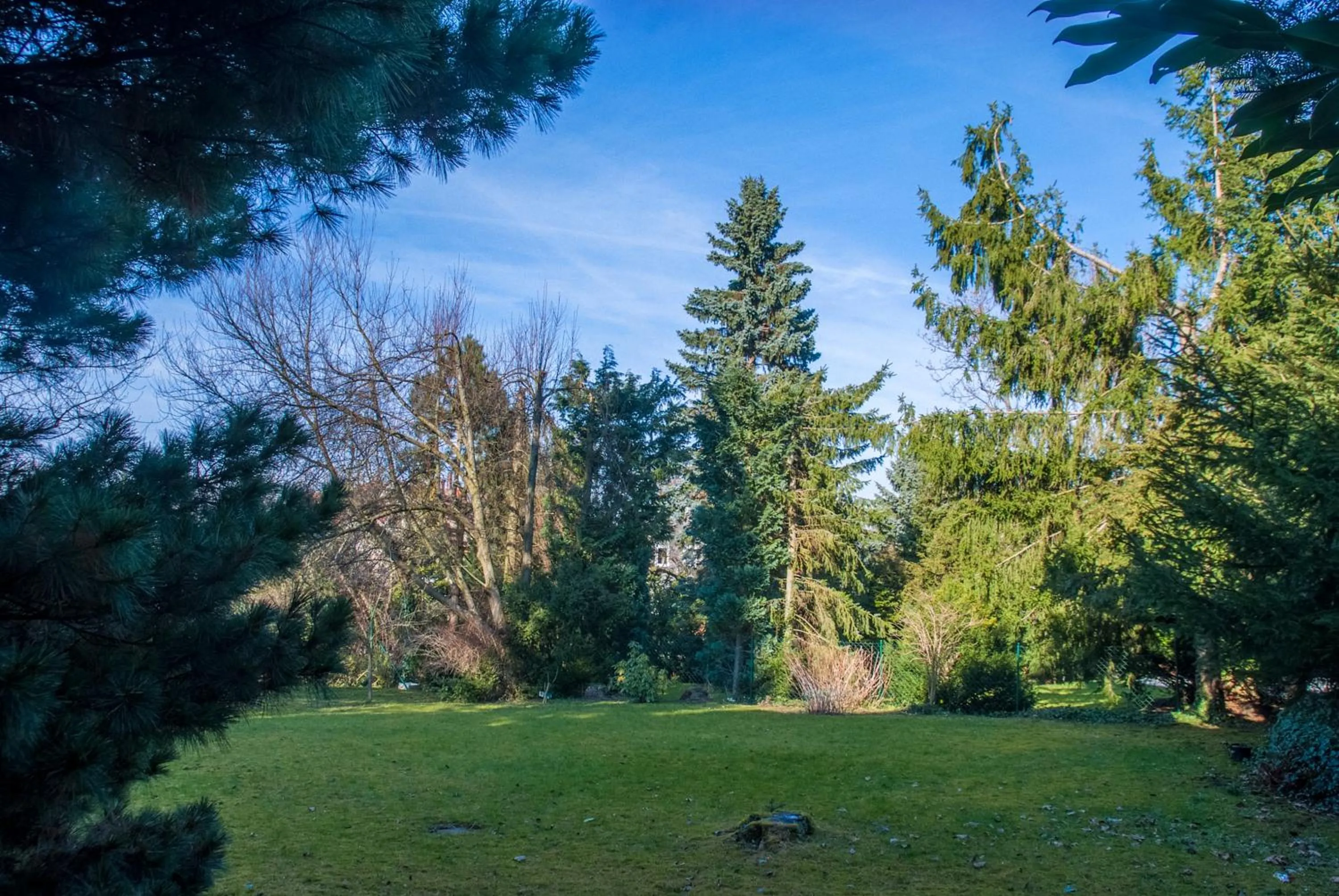 Garden view in Gästehaus Graul
