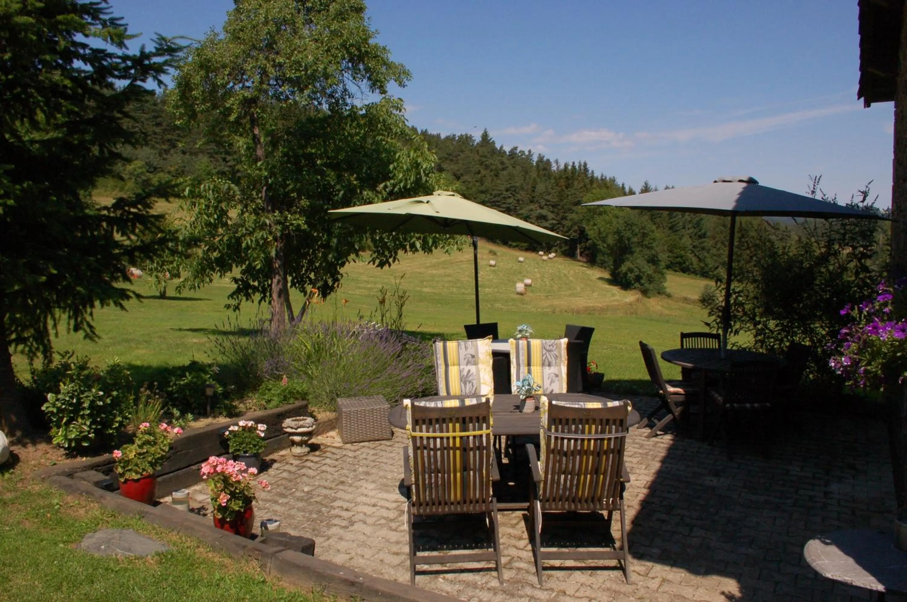 View (from property/room) in Le Grand Trianon