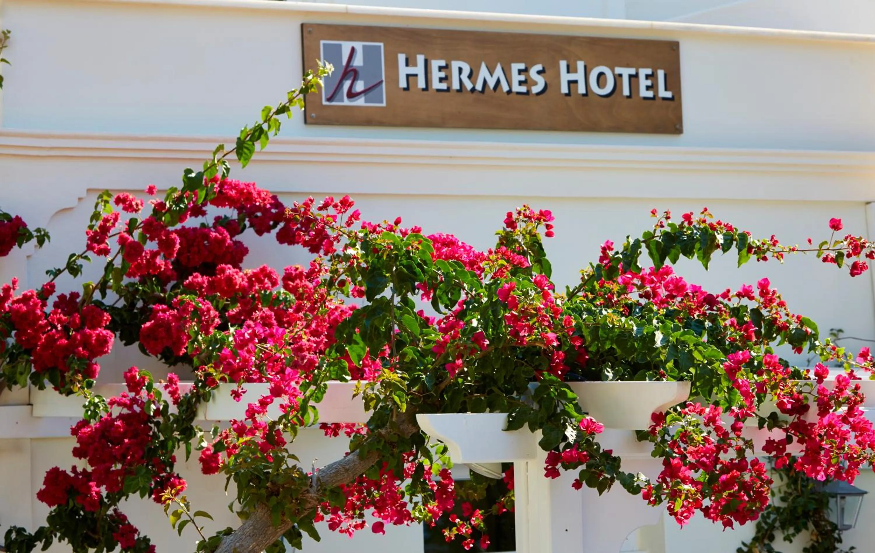 Spring in Hermes Hotel