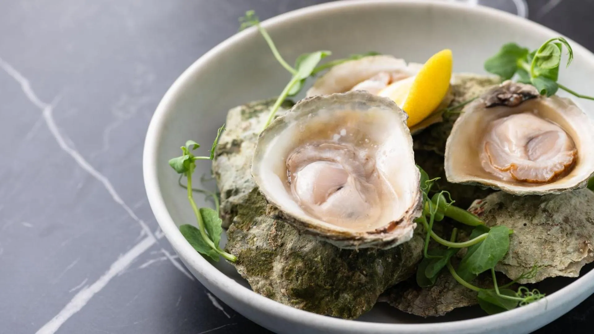 Restaurant/places to eat in Hilton Auckland