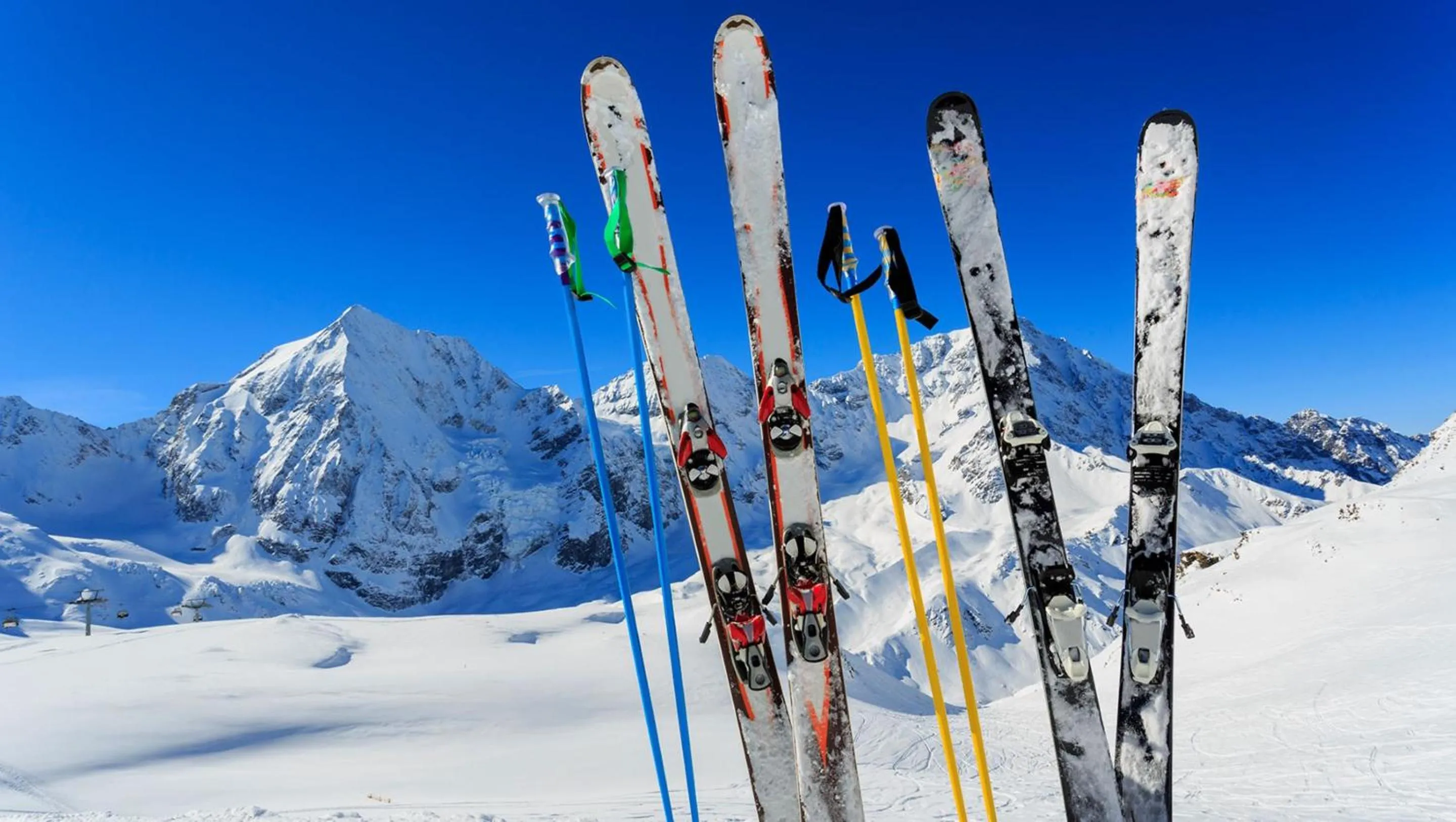 Area and facilities in Kimpton Hotel Monaco Salt Lake City by IHG