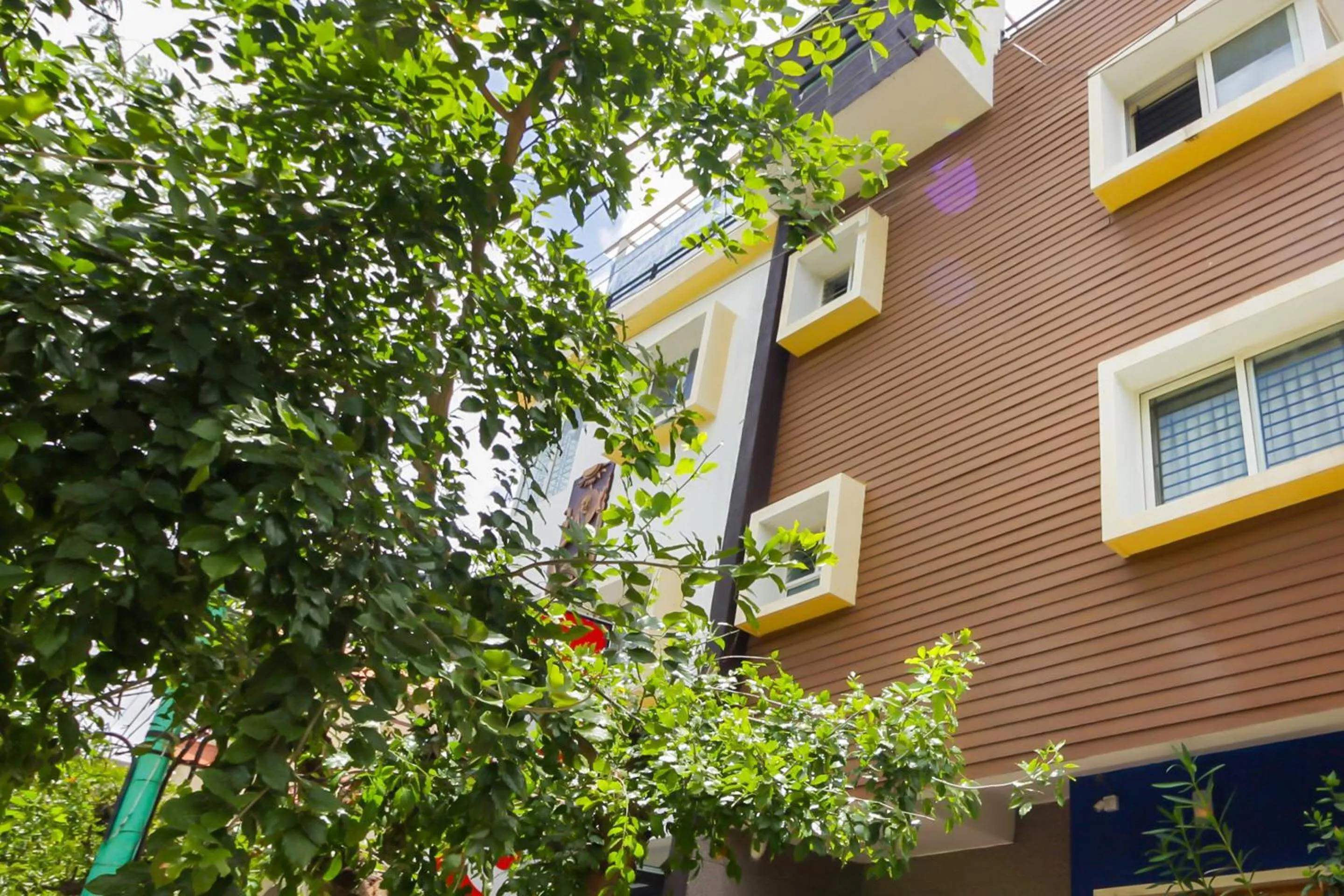 Facade/entrance in Collection O The Olive Shine