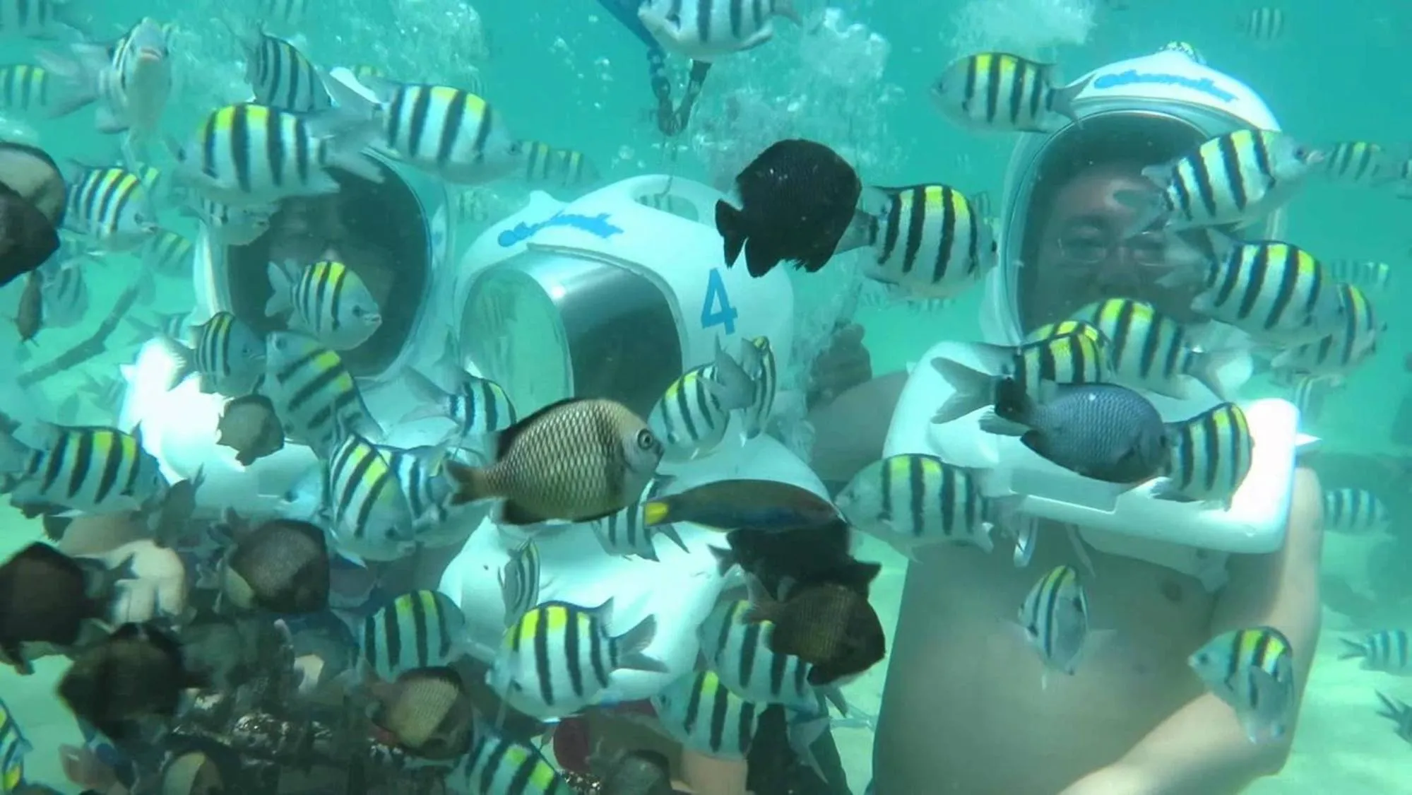 Activities in Georgina Estate by Villas Direct Bali