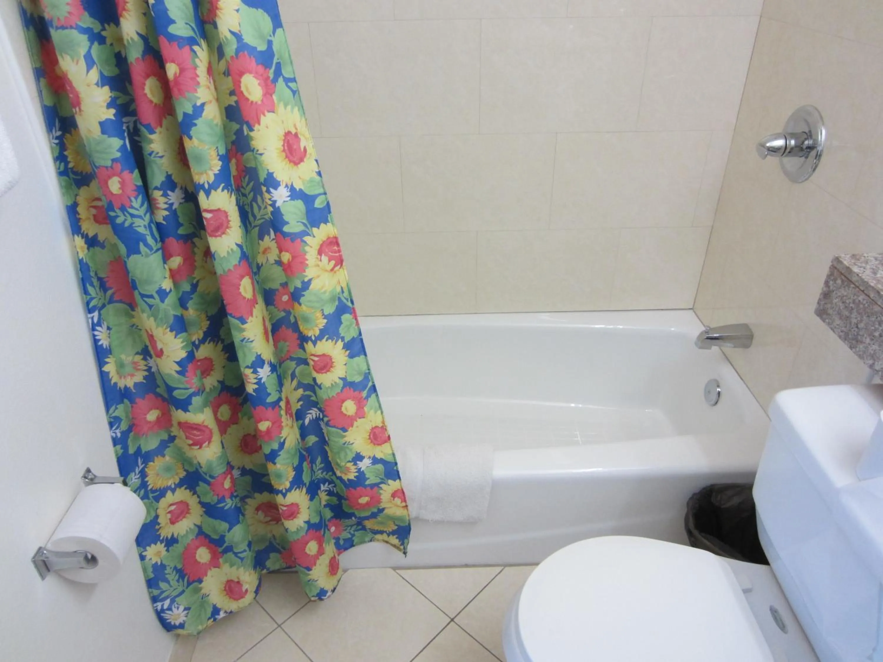 Shower in Starlight Inn Van Nuys