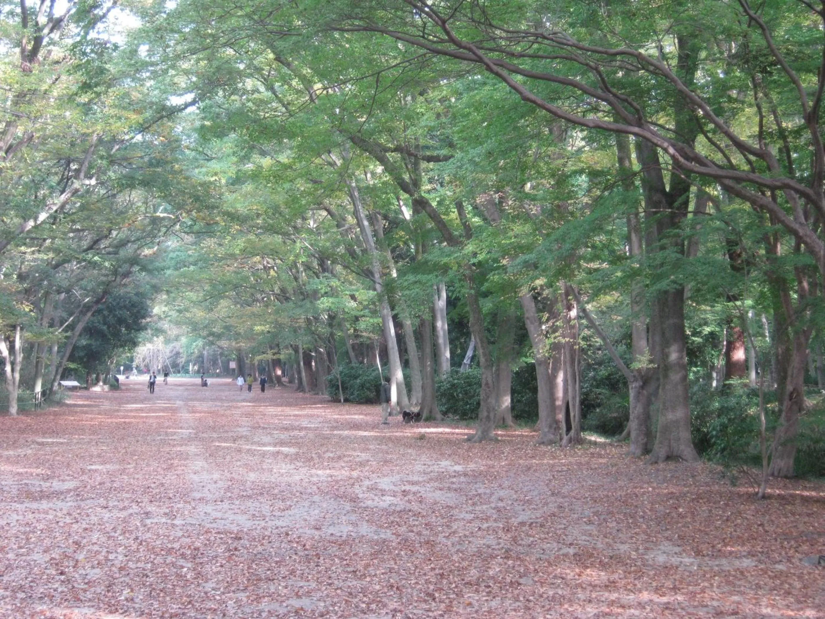 Nearby landmark in Guesthouse Hyakumanben Cross