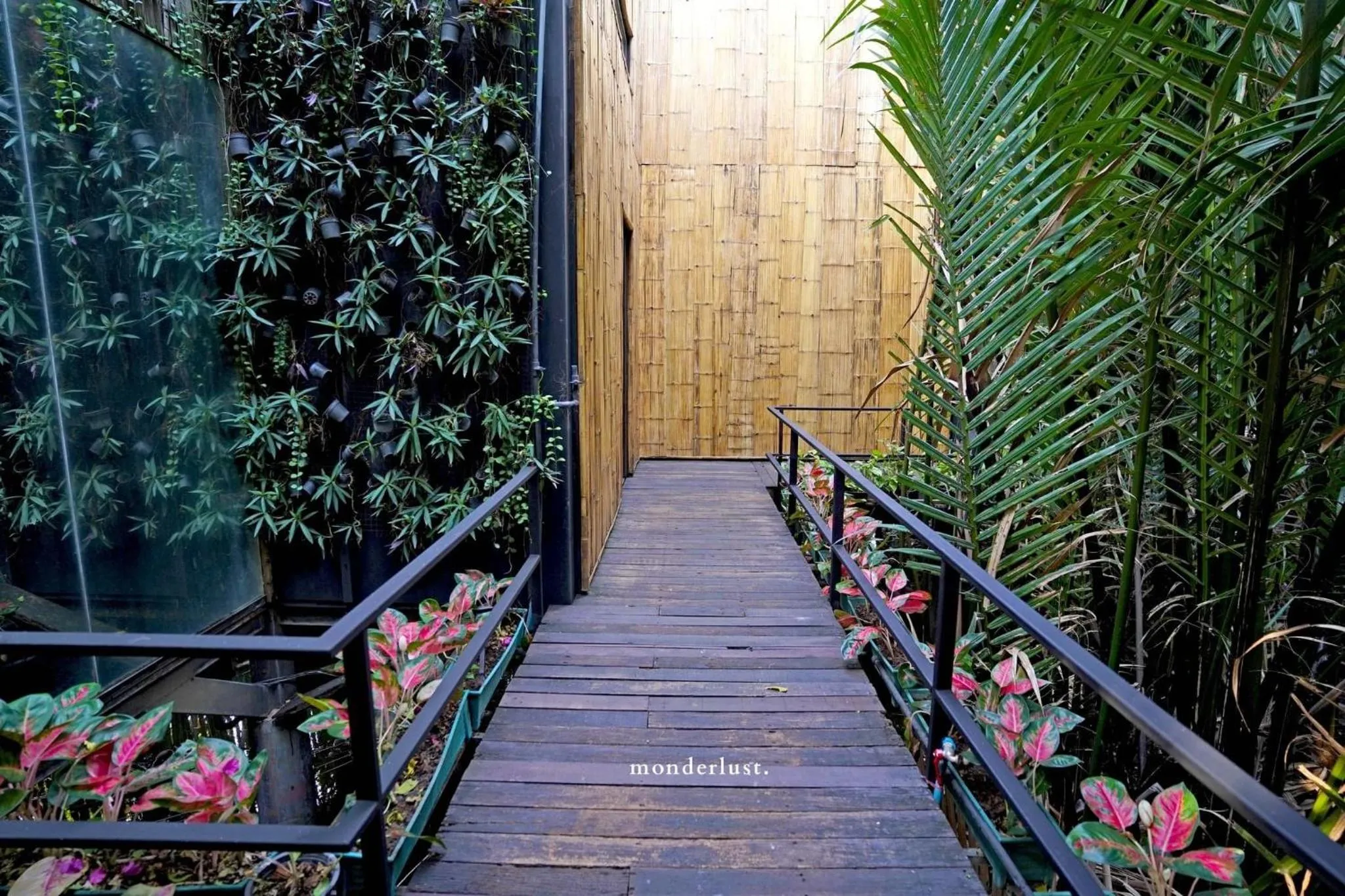 Bangkok Tree House Bang Kachao