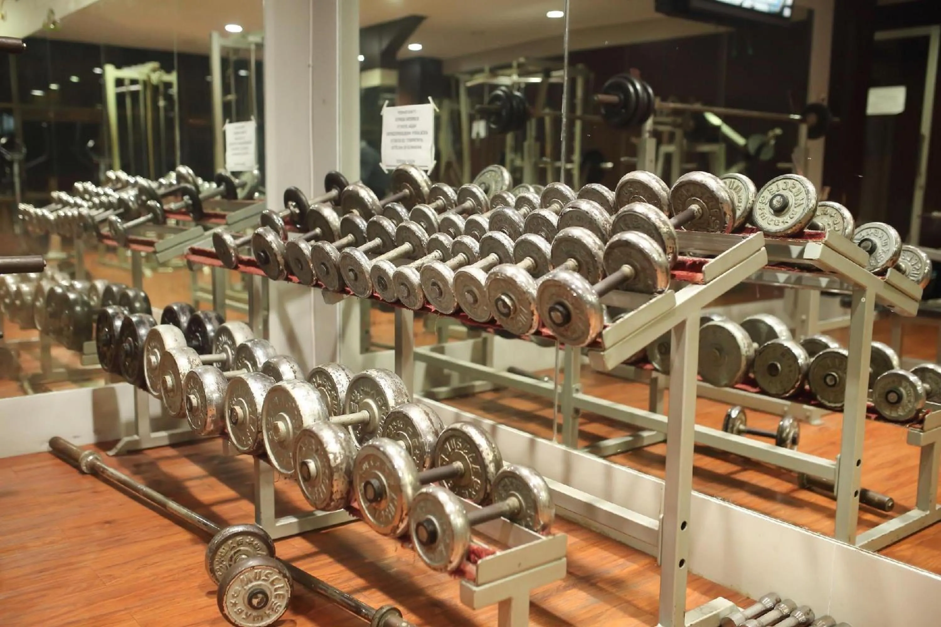 Fitness centre/facilities in Swiss-Belexpress Jayapura