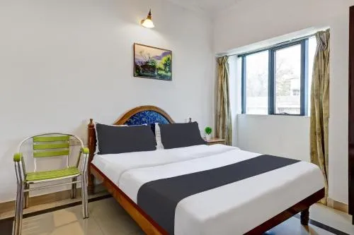 Super Collection O M G Road