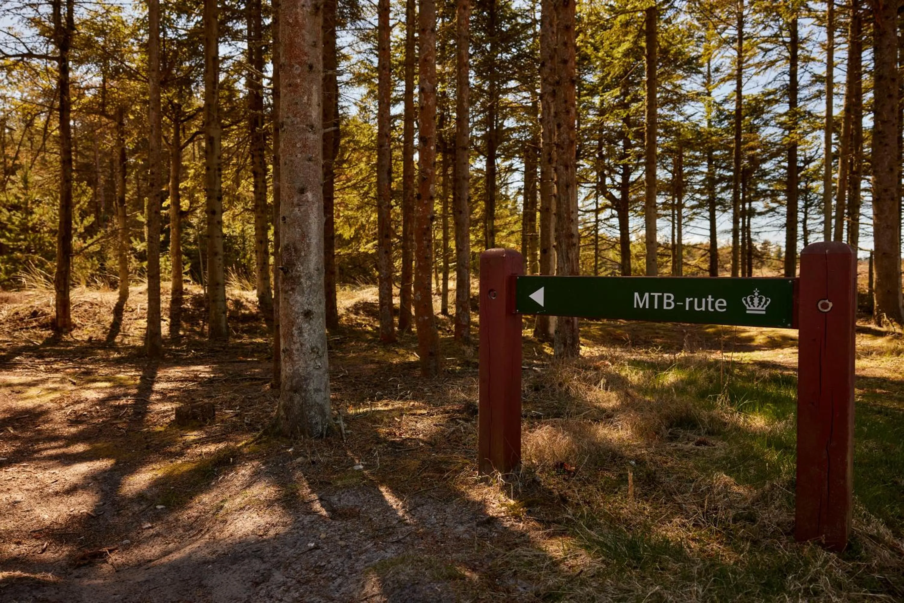 Natural landscape in Strandhotel Klitrosen