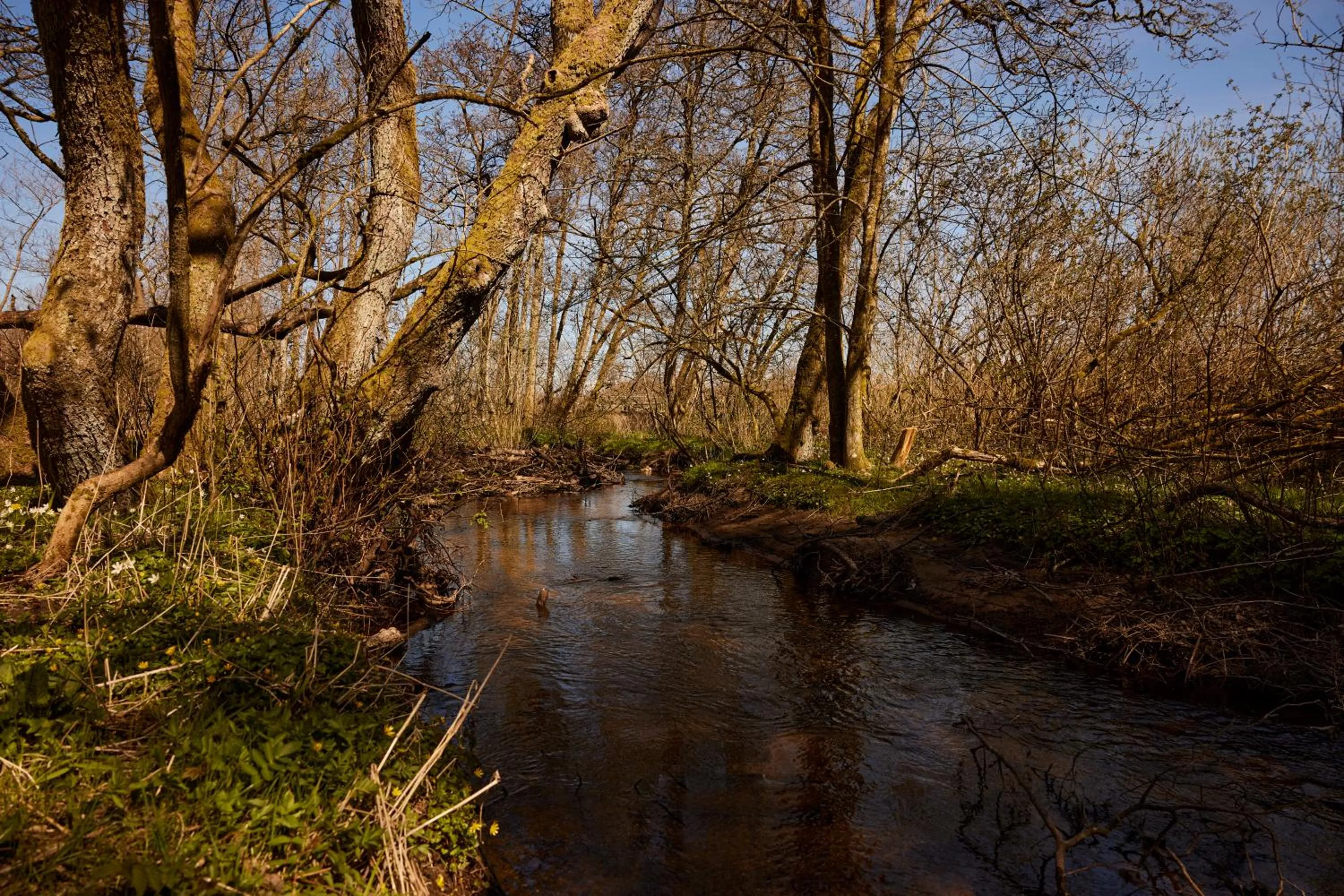 Natural landscape in Strandhotel Klitrosen
